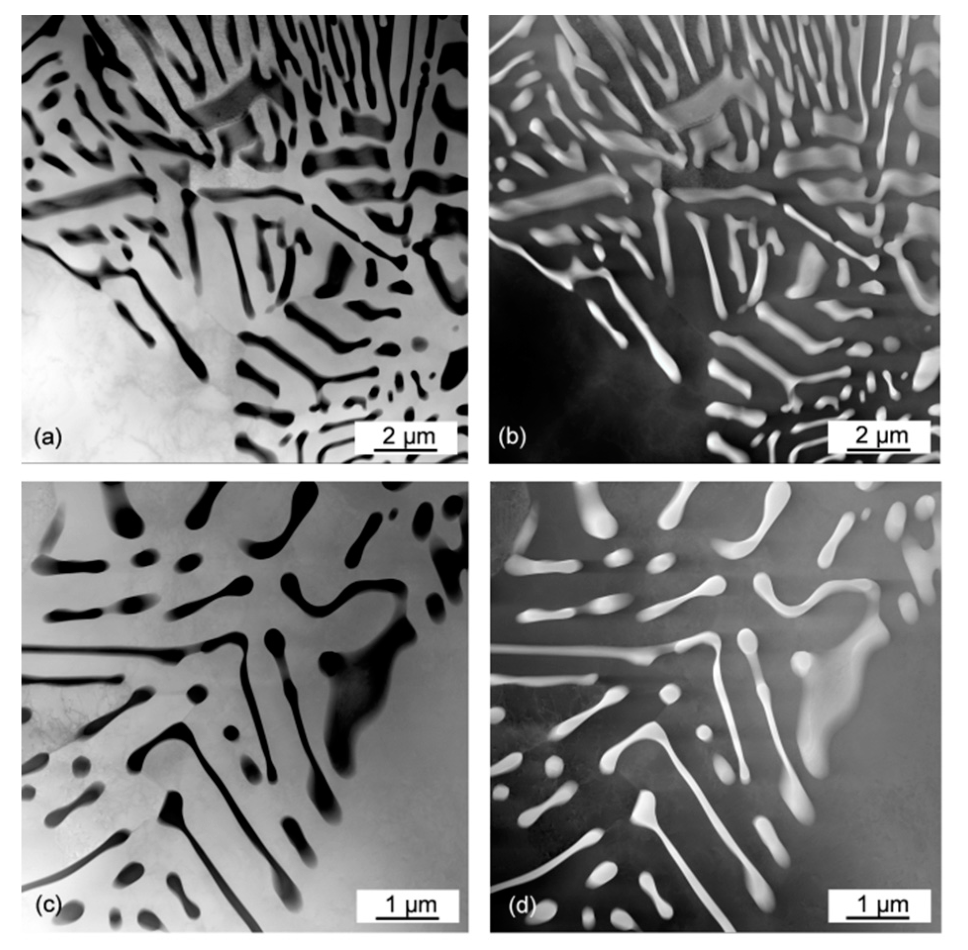 Materials 13 04549 g009 Materials 13 04549 g009