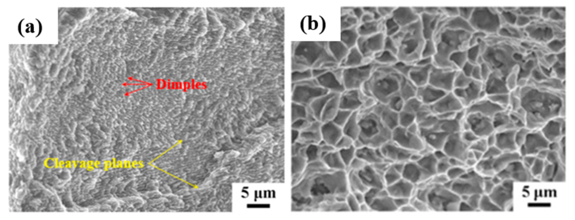 Materials 13 04564 g064