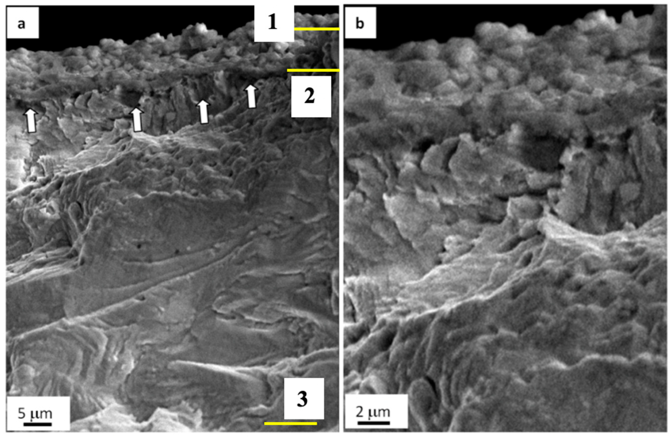 Materials 13 04567 g004