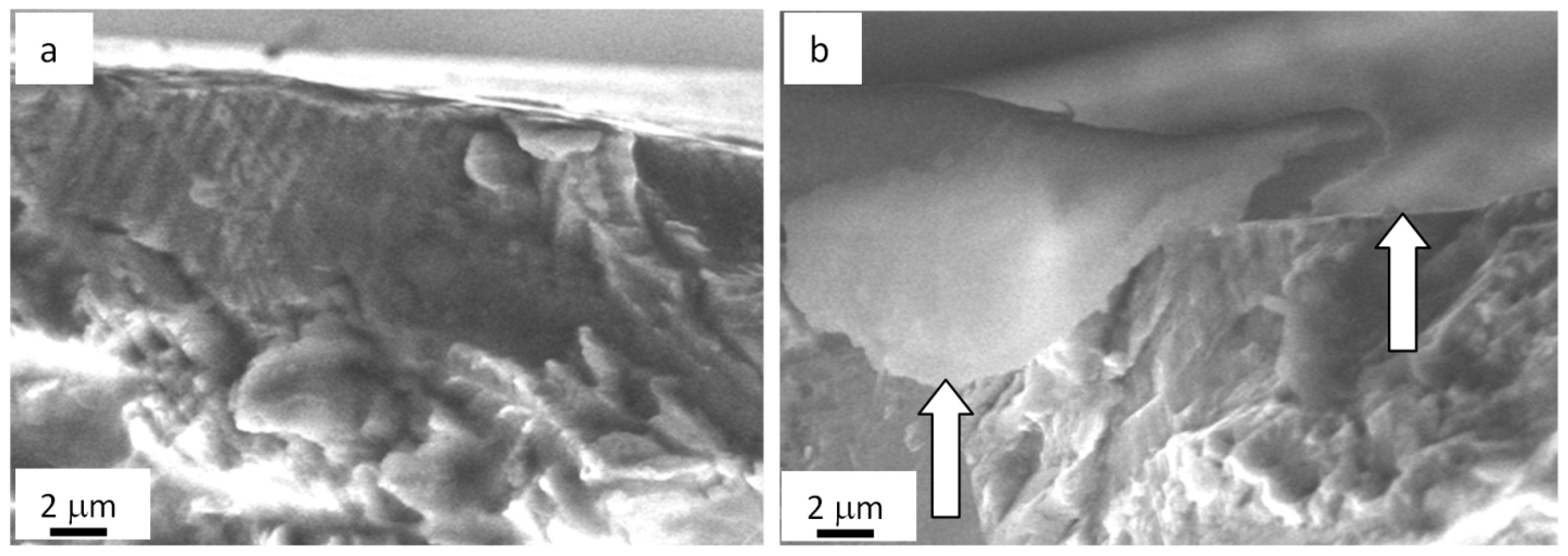 Materials 13 04567 g007