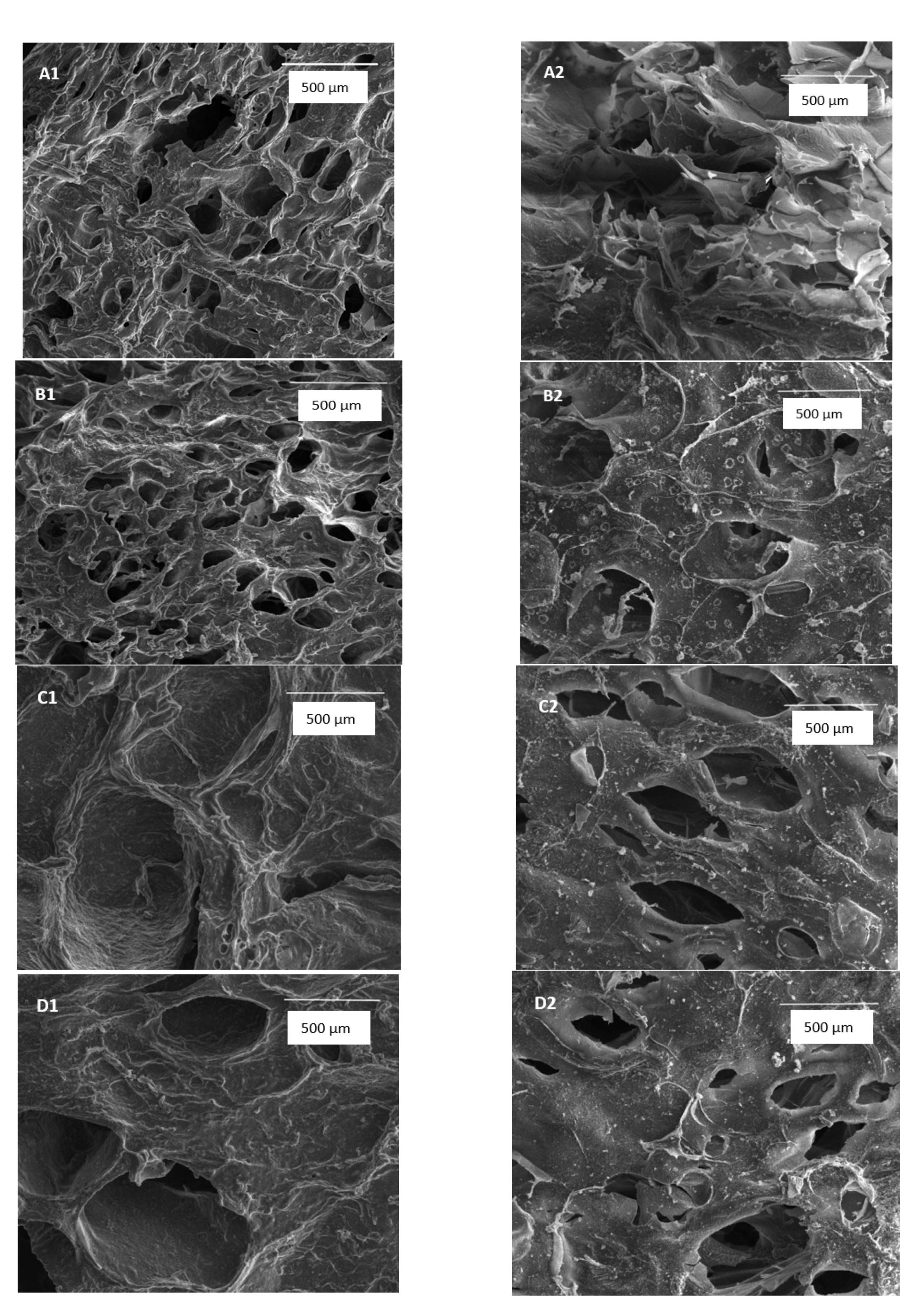 Materials 13 04572 g001