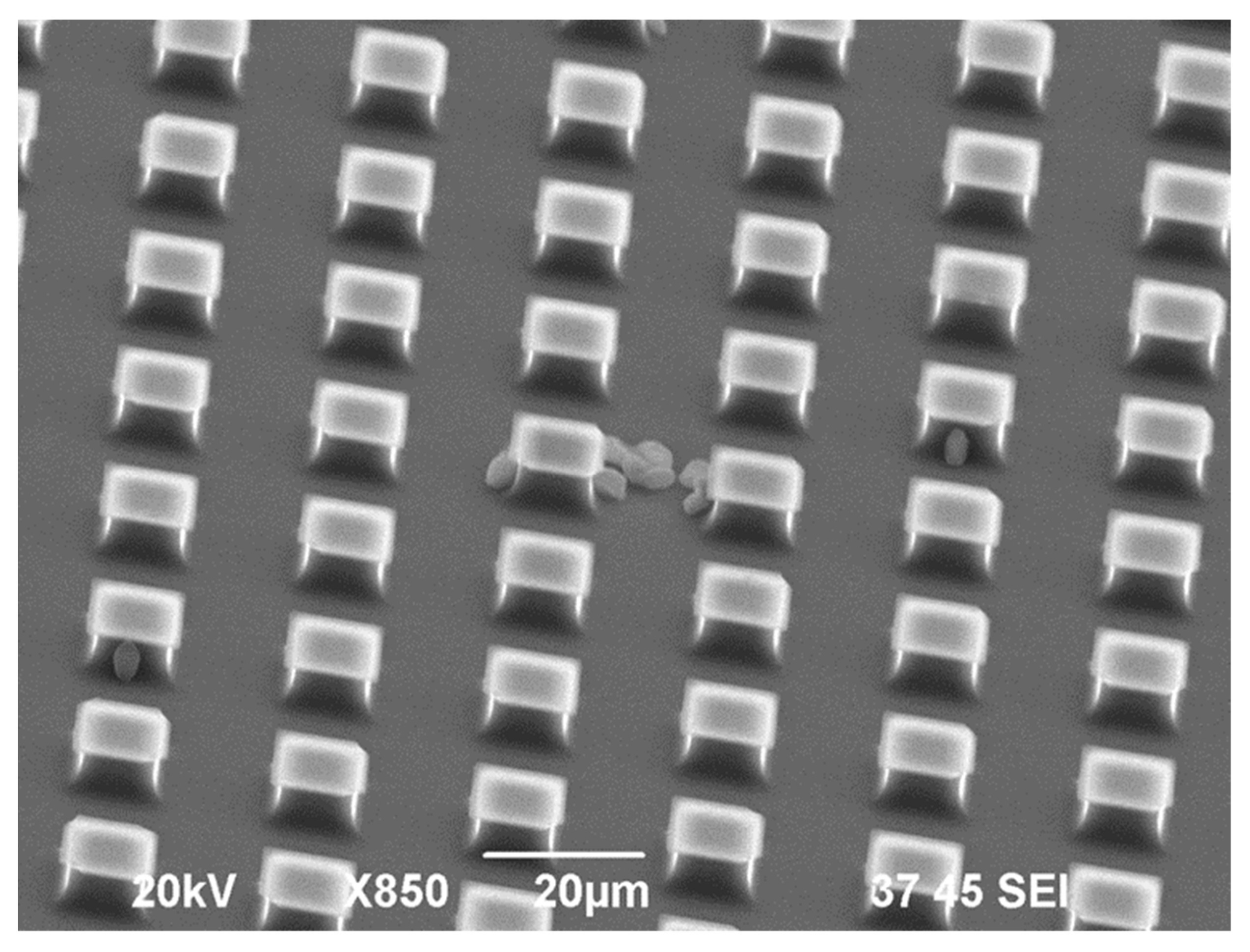 Materials 13 04575 g007