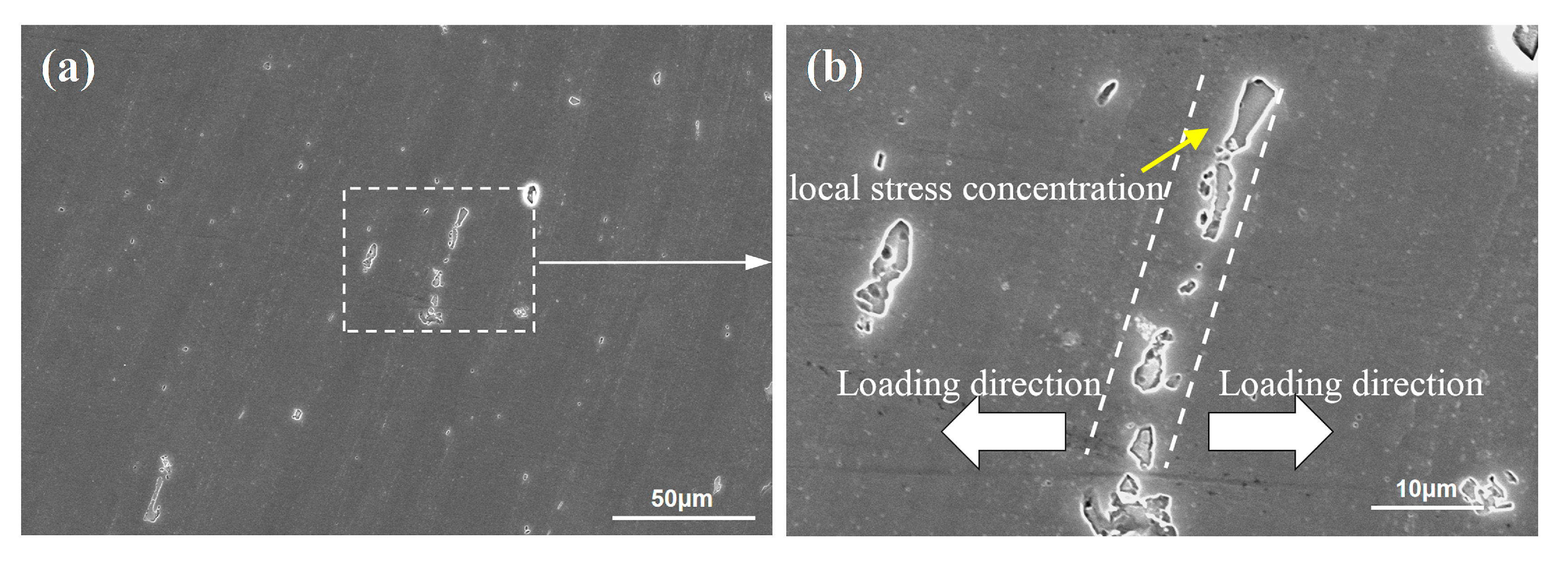 Materials 13 04582 g012