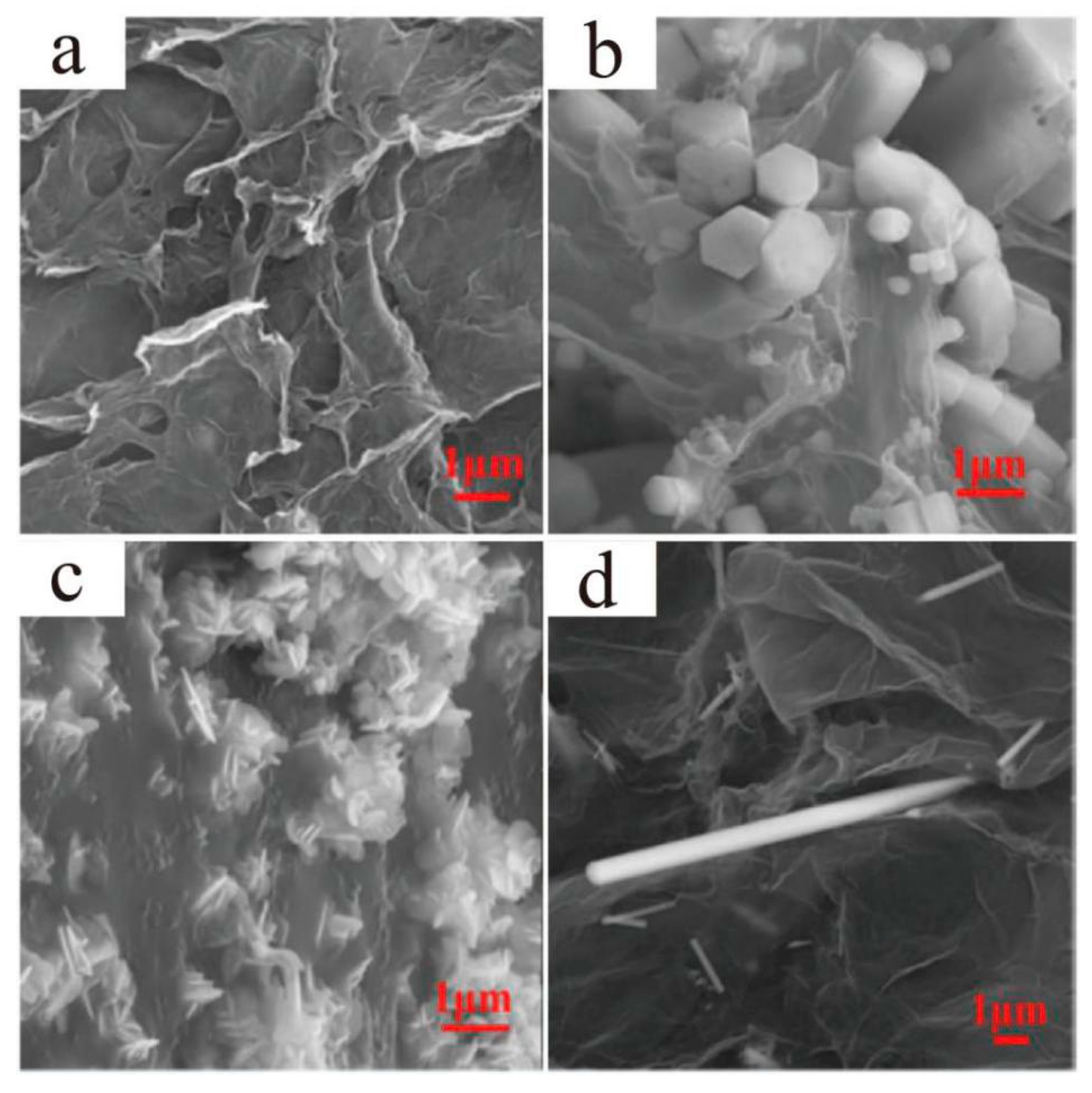 Materials 13 04590 g013