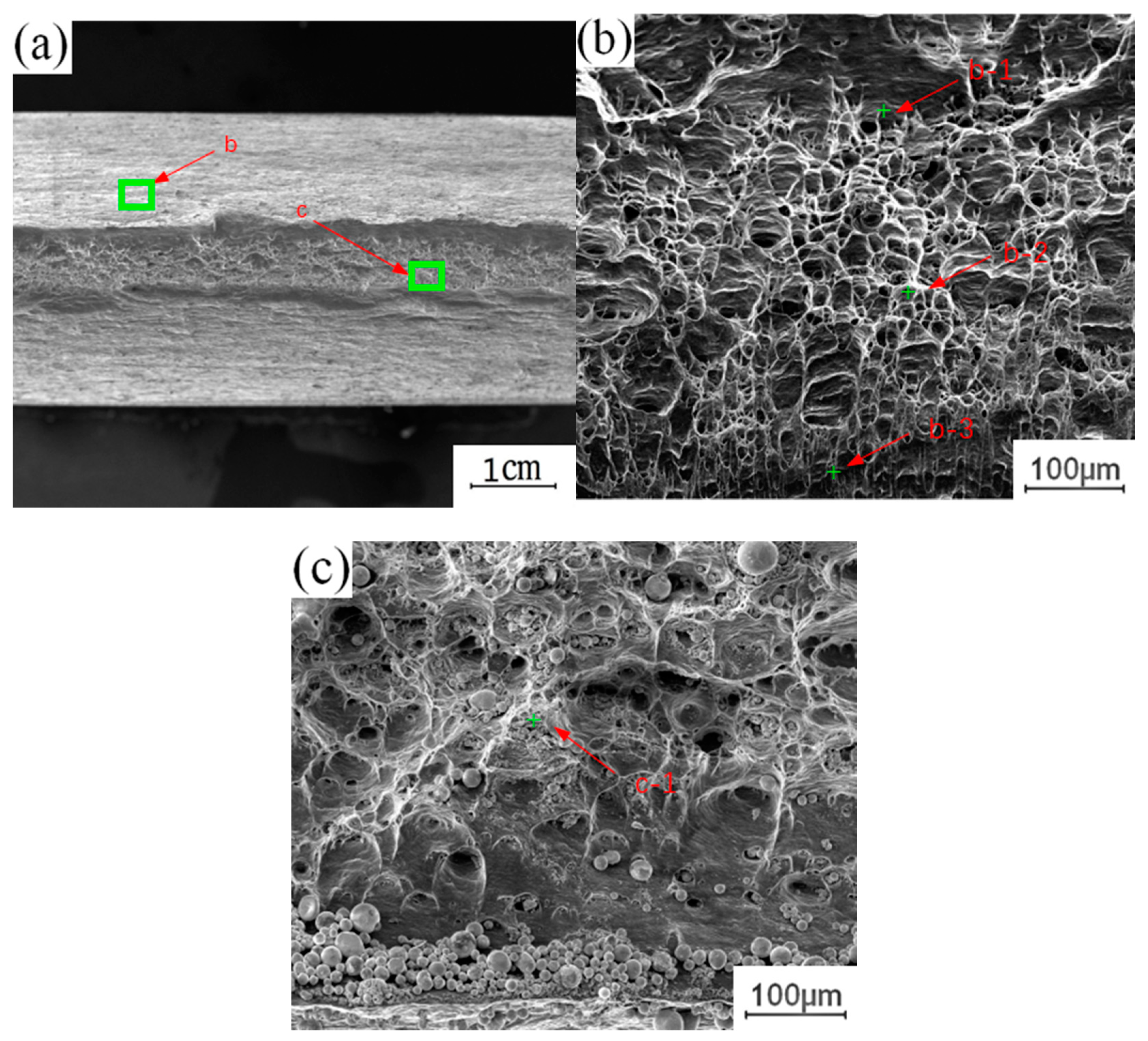 Materials 13 04591 g012