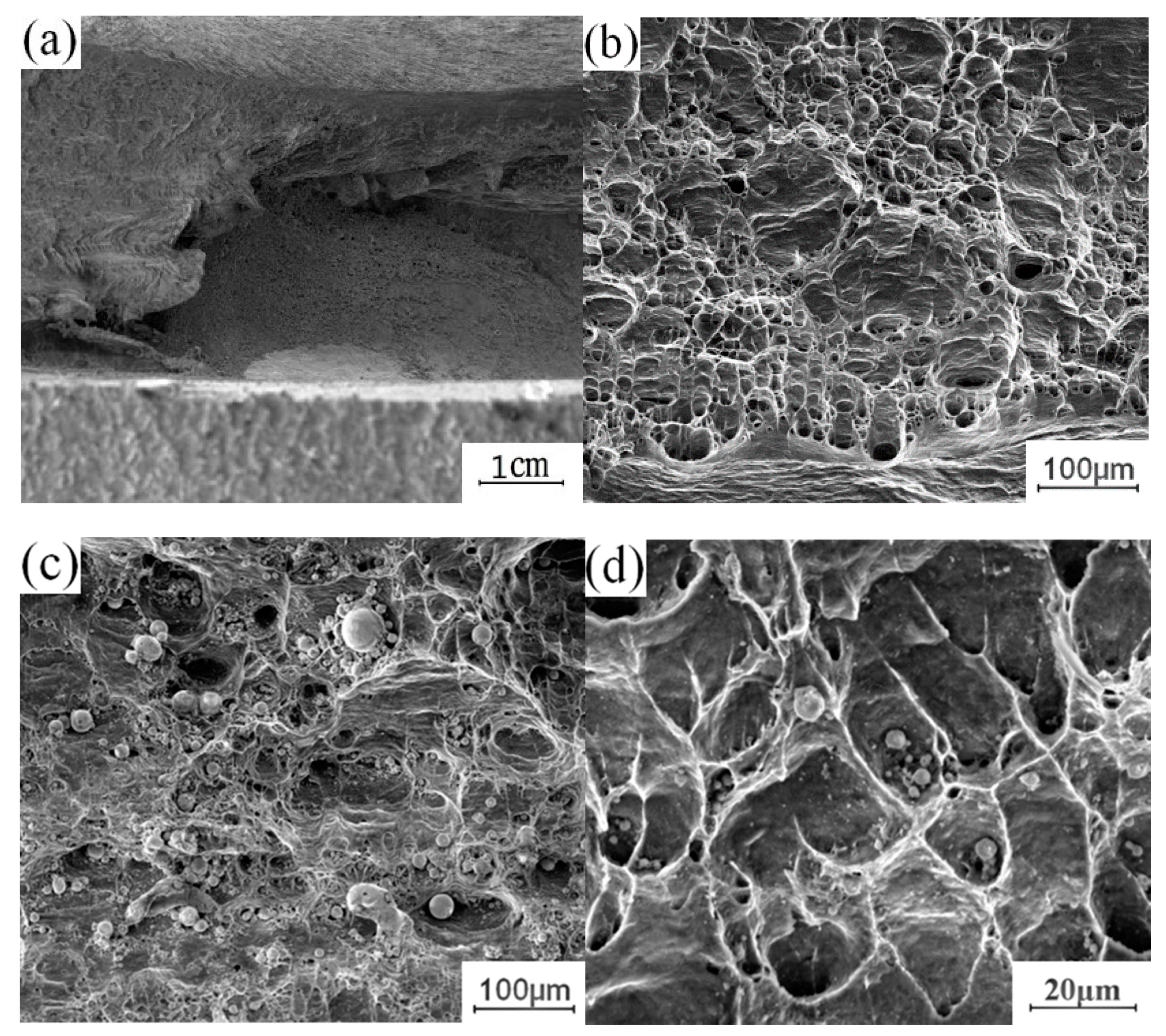 Materials 13 04591 g013