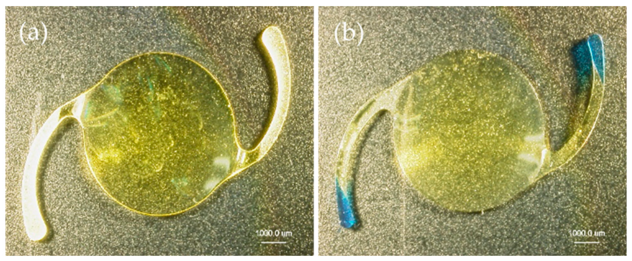 Materials 13 04593 g001a