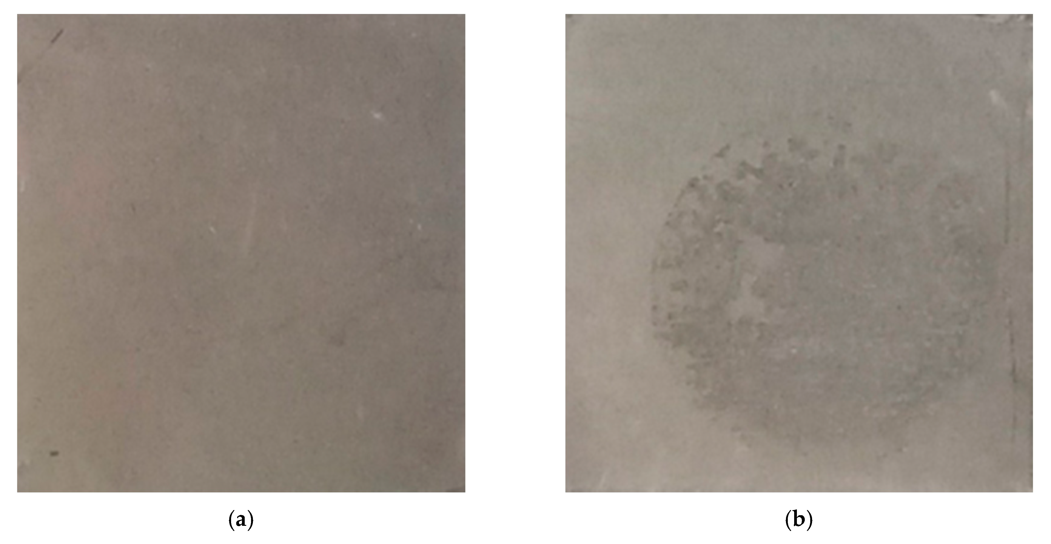 Materials 13 04595 g008