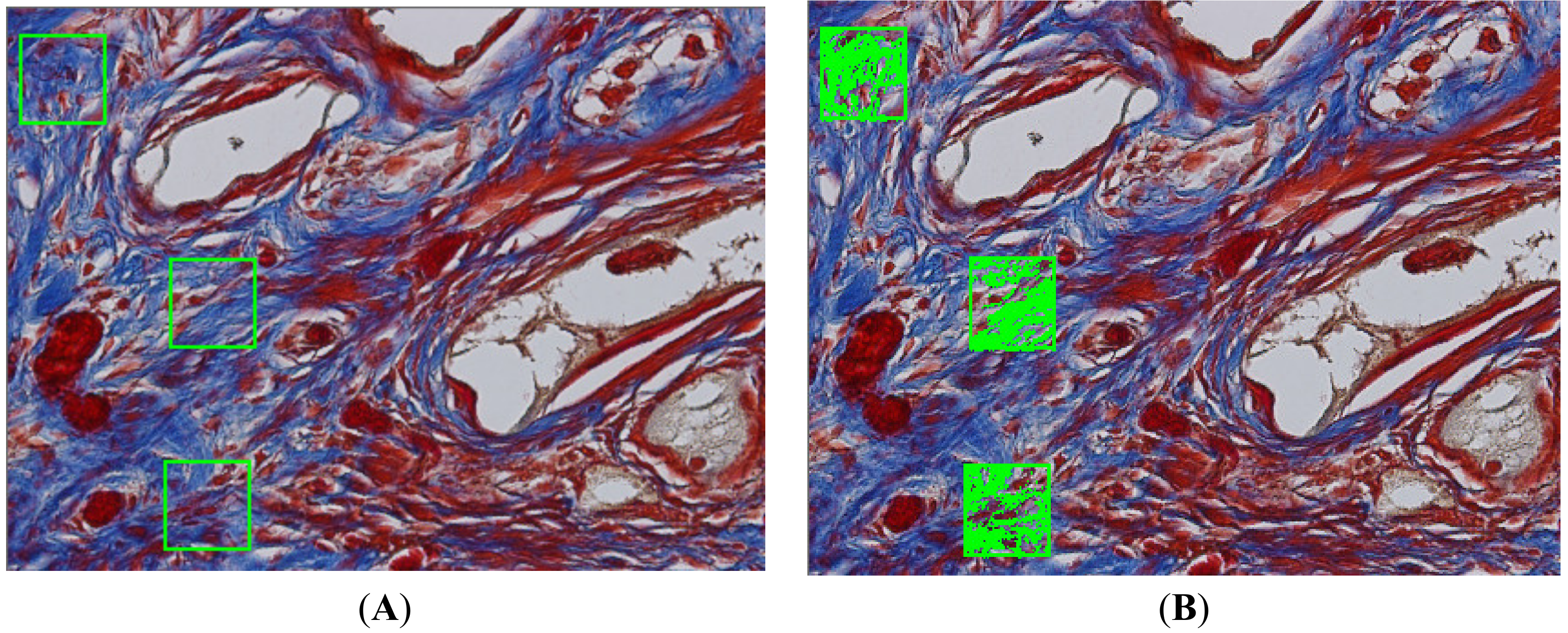 Materials 13 04598 g001