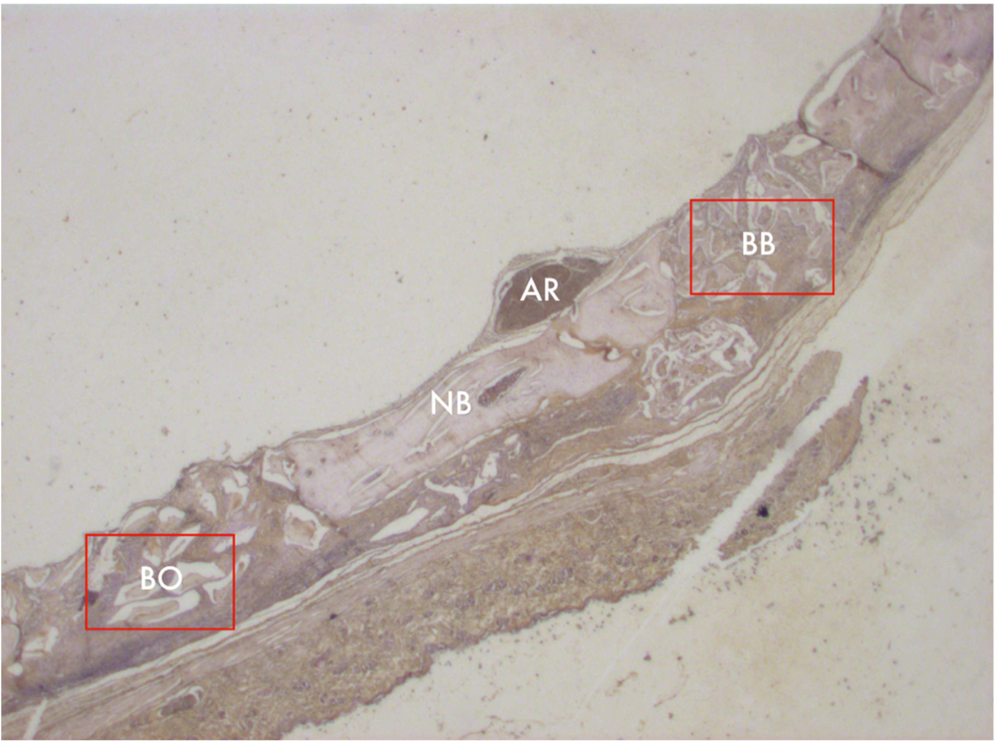 Materials 13 04598 g002