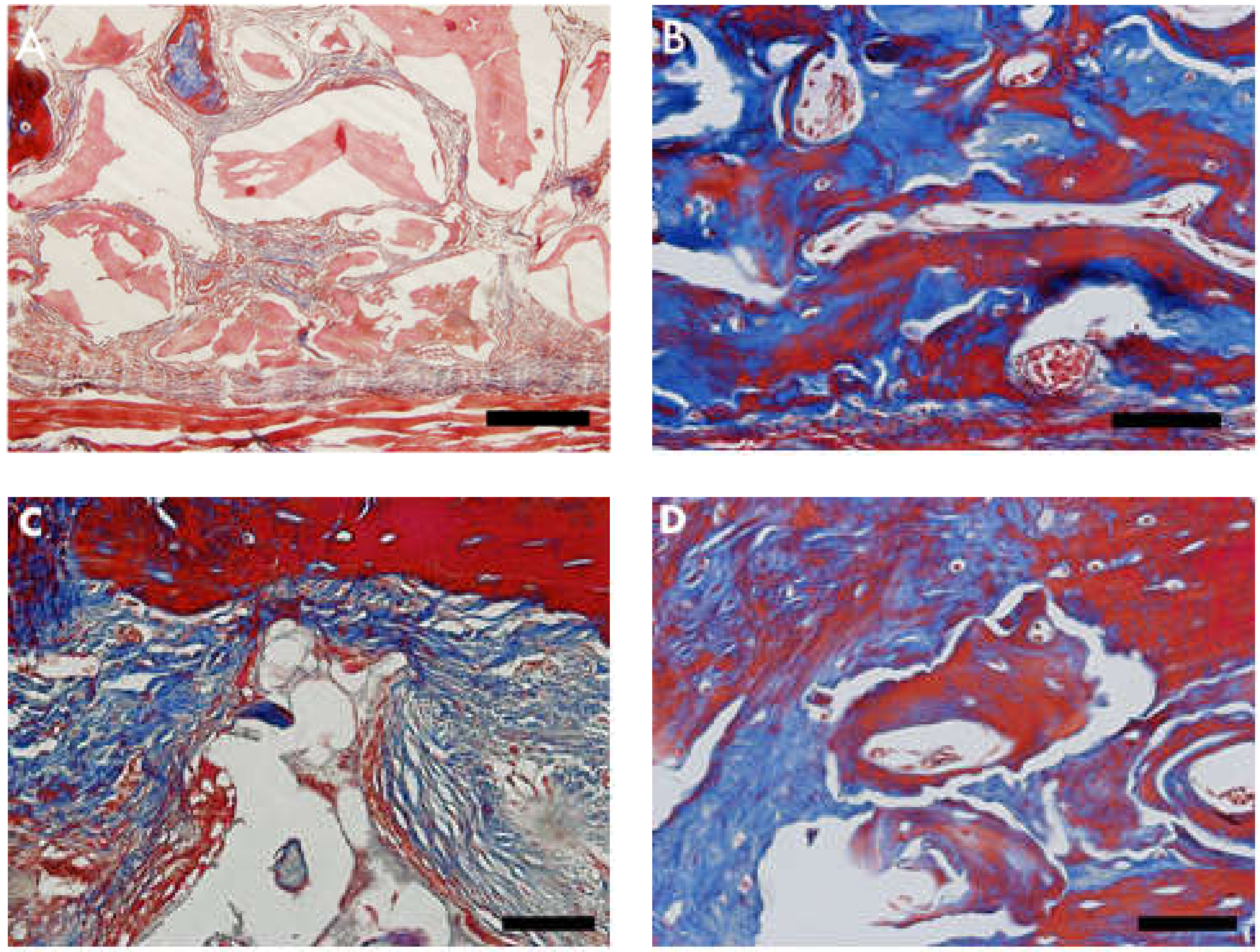 Materials 13 04598 g003