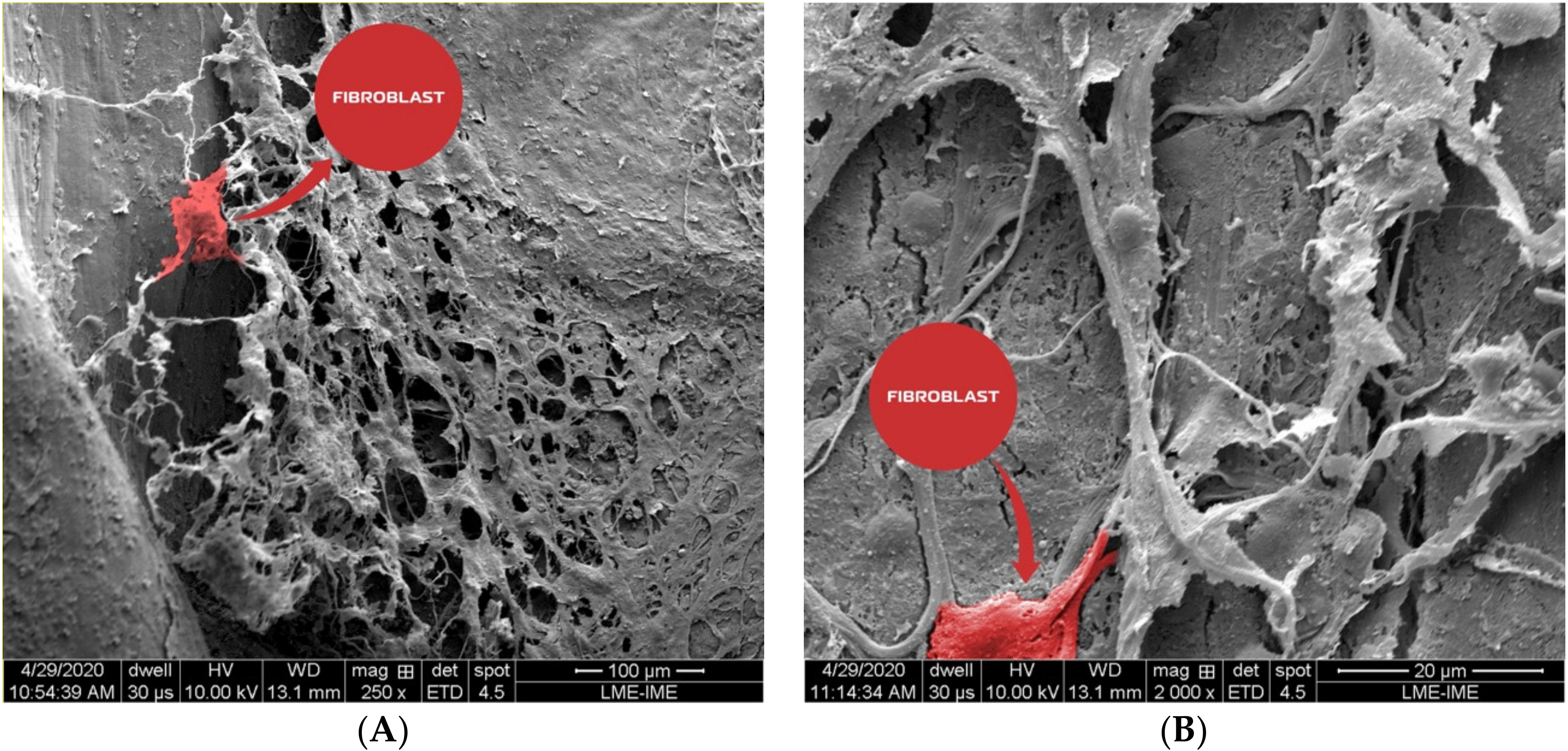 Materials 13 04598 g011