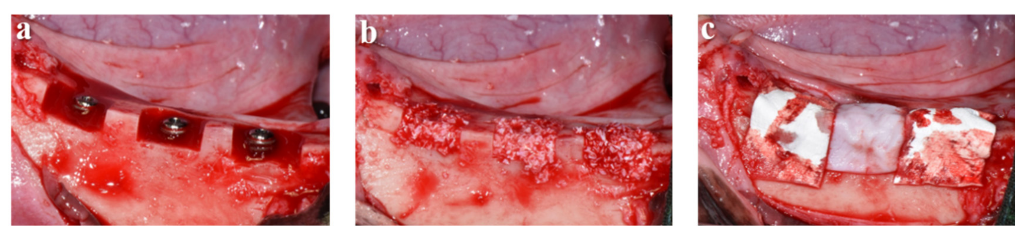 Materials 13 04599 g001