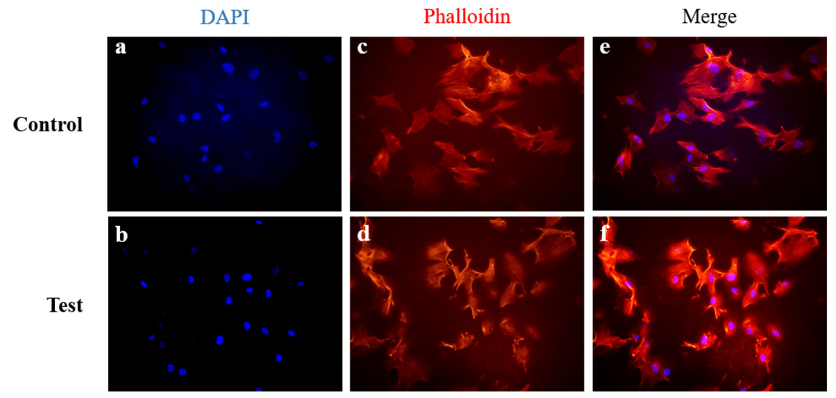 Materials 13 04599 g006