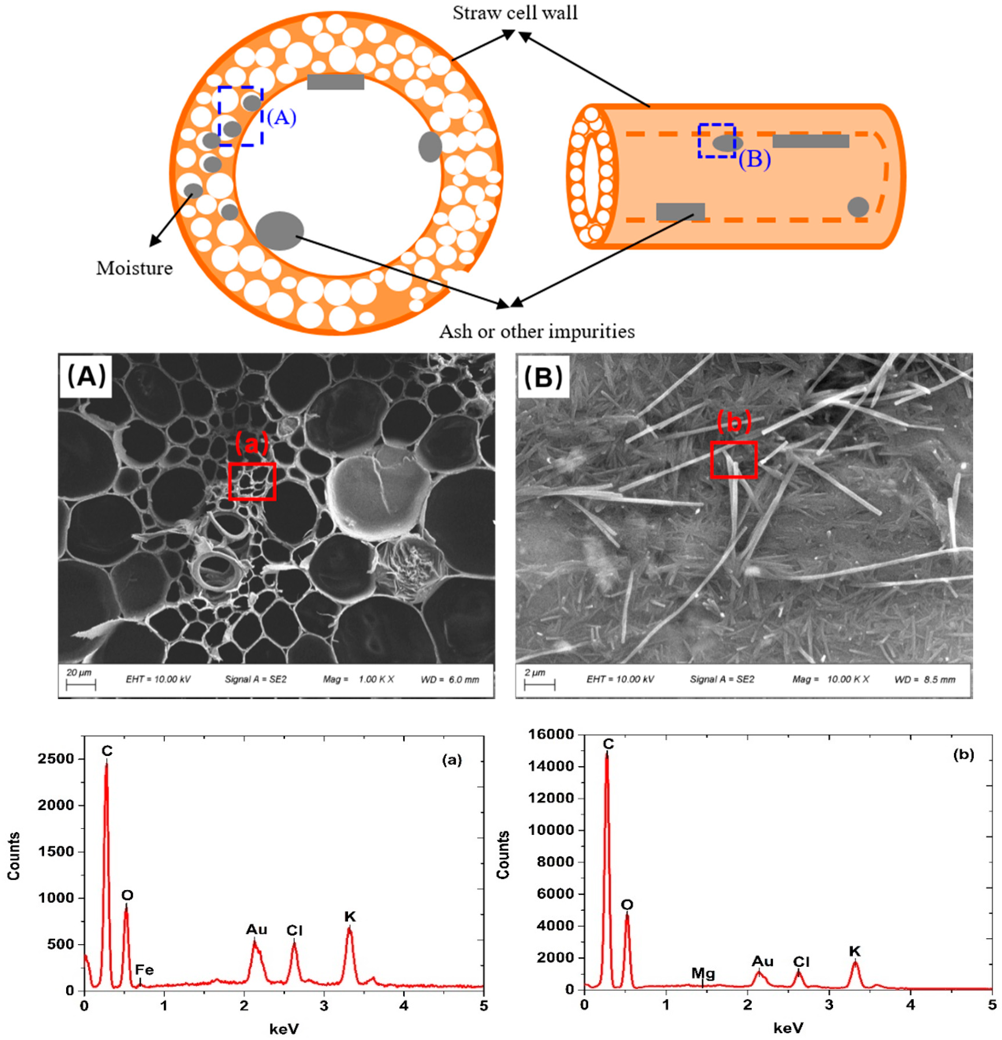 Materials 13 04604 g008