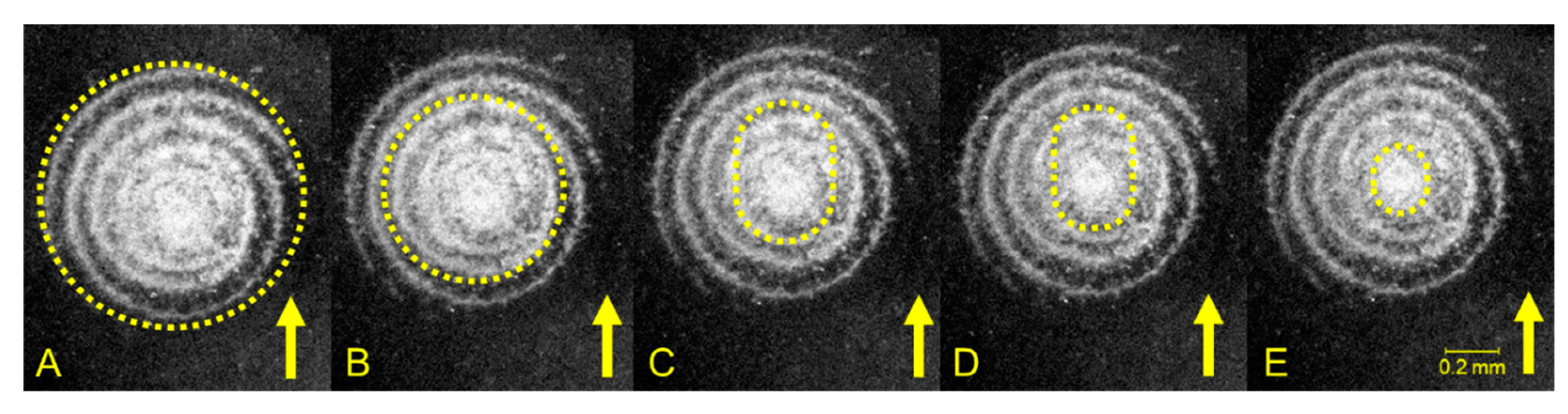 Materials 13 04615 g011