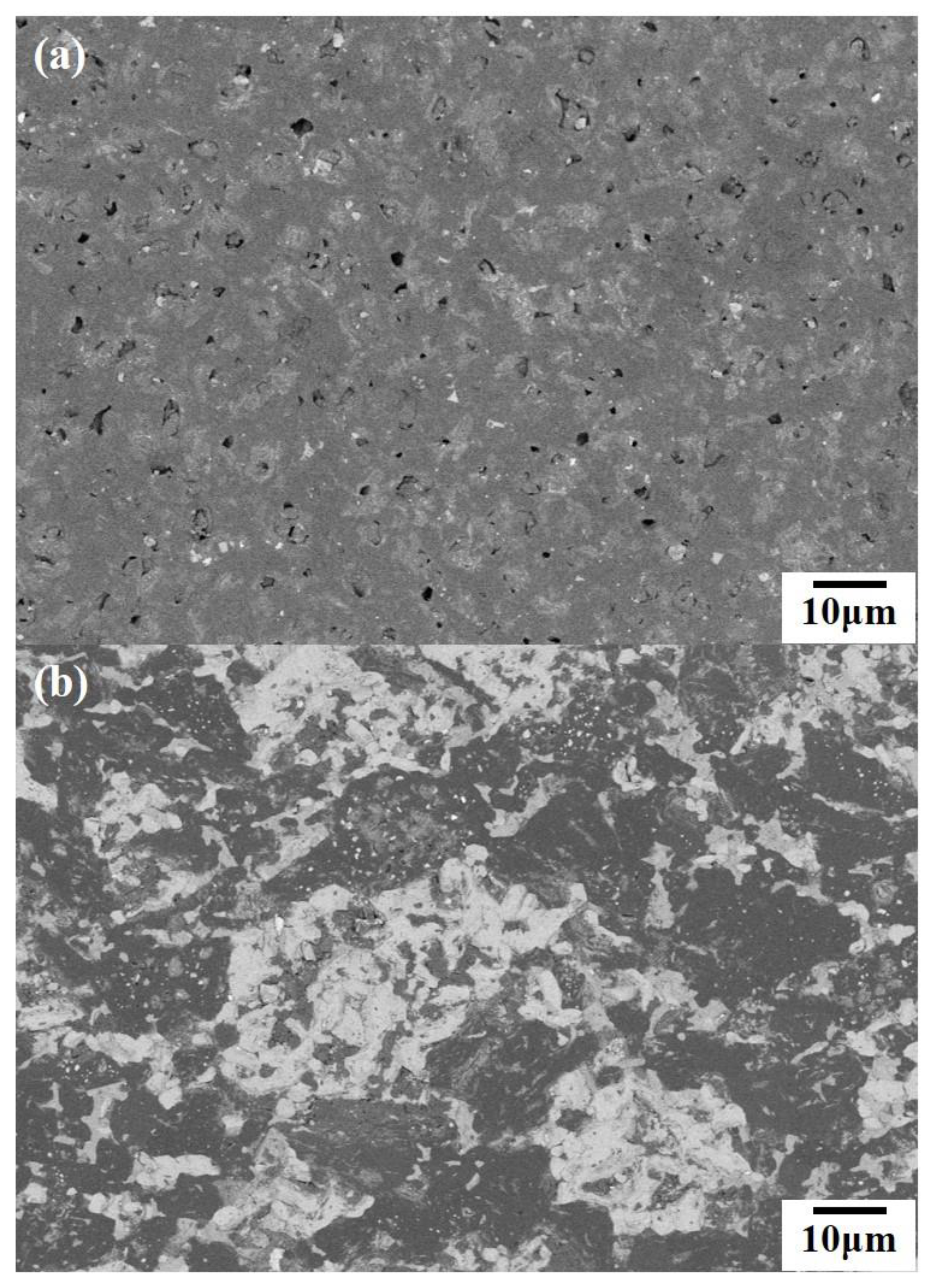 Materials 13 04616 g003