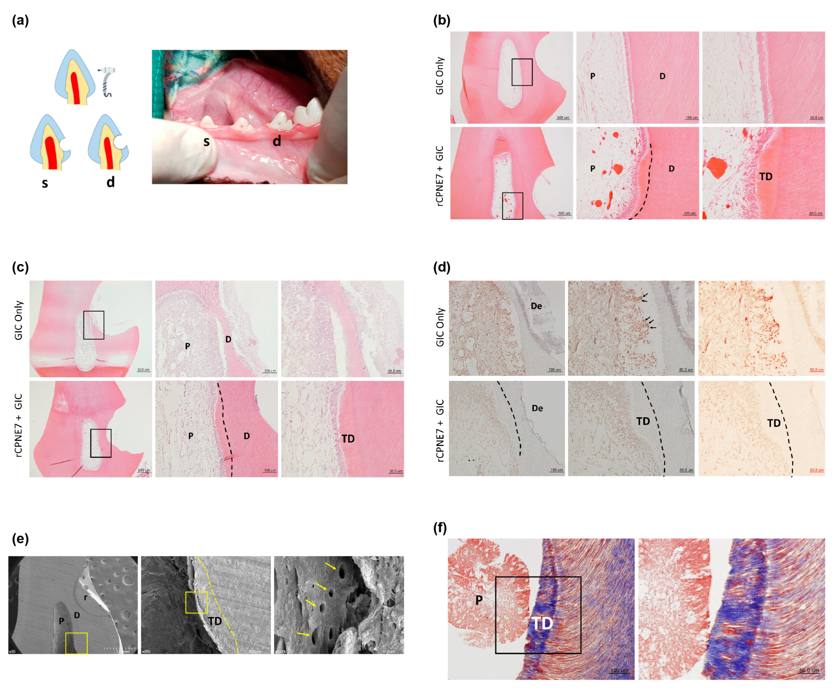 Materials 13 04618 g001