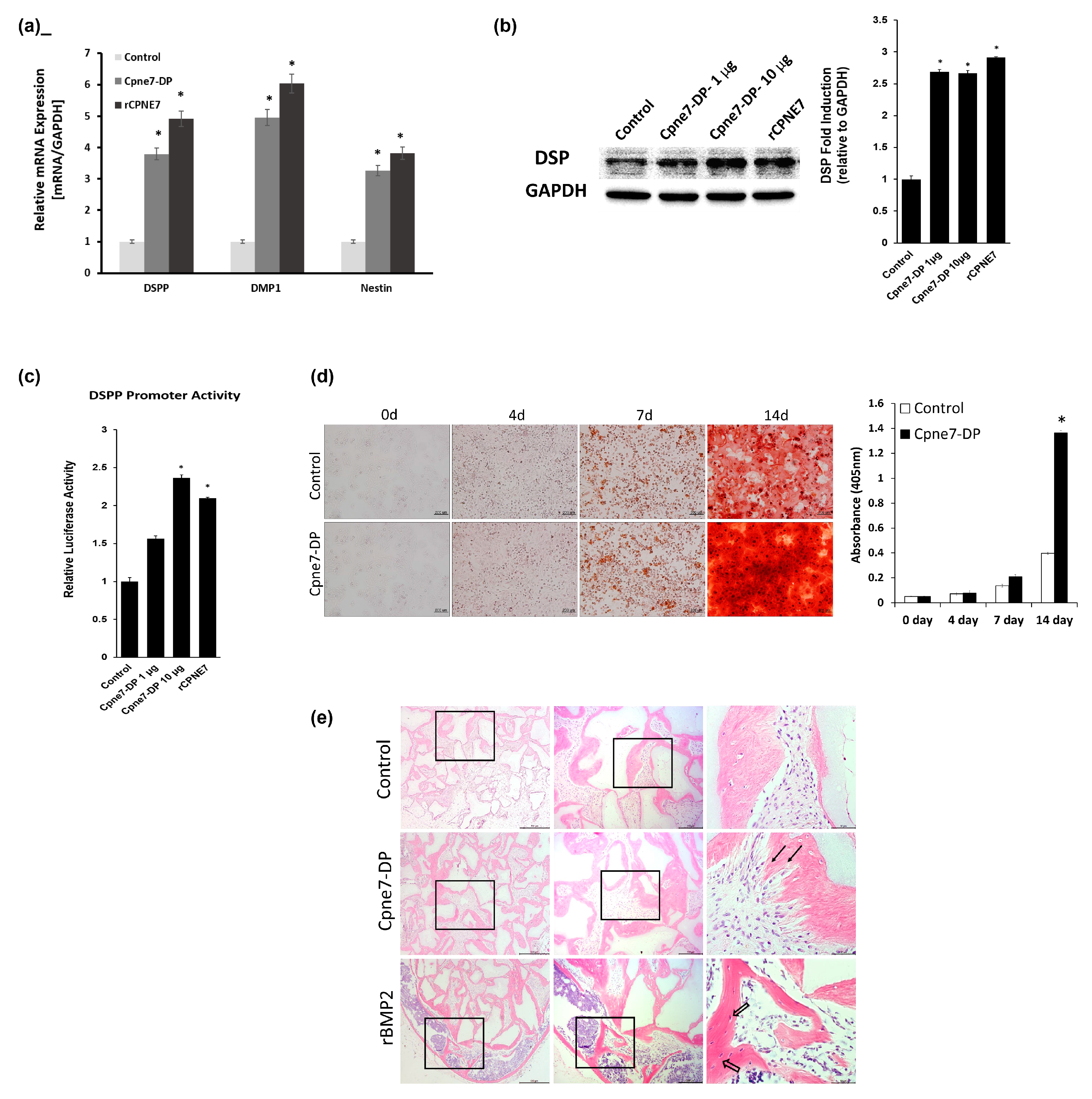 Materials 13 04618 g003
