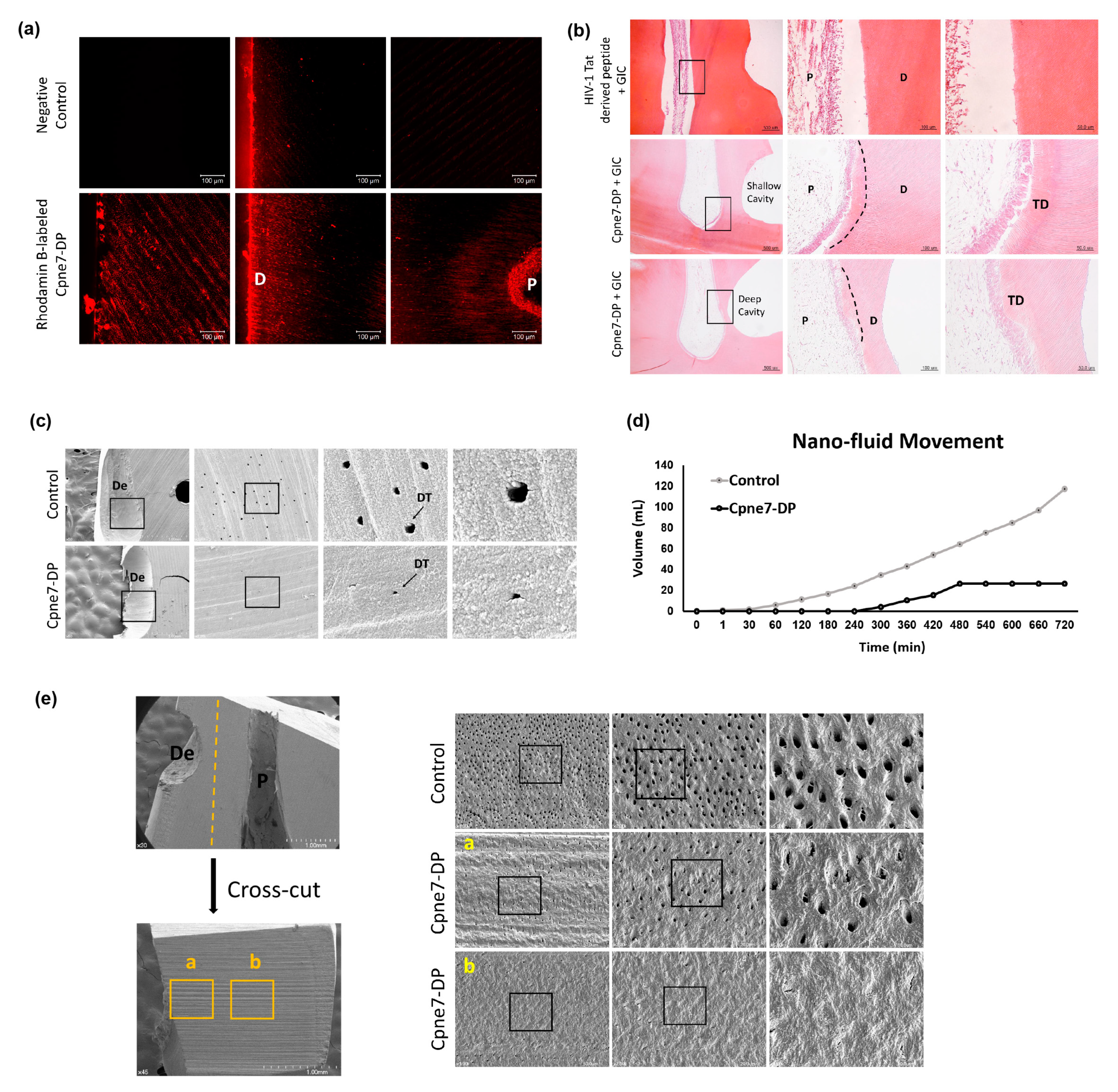 Materials 13 04618 g004