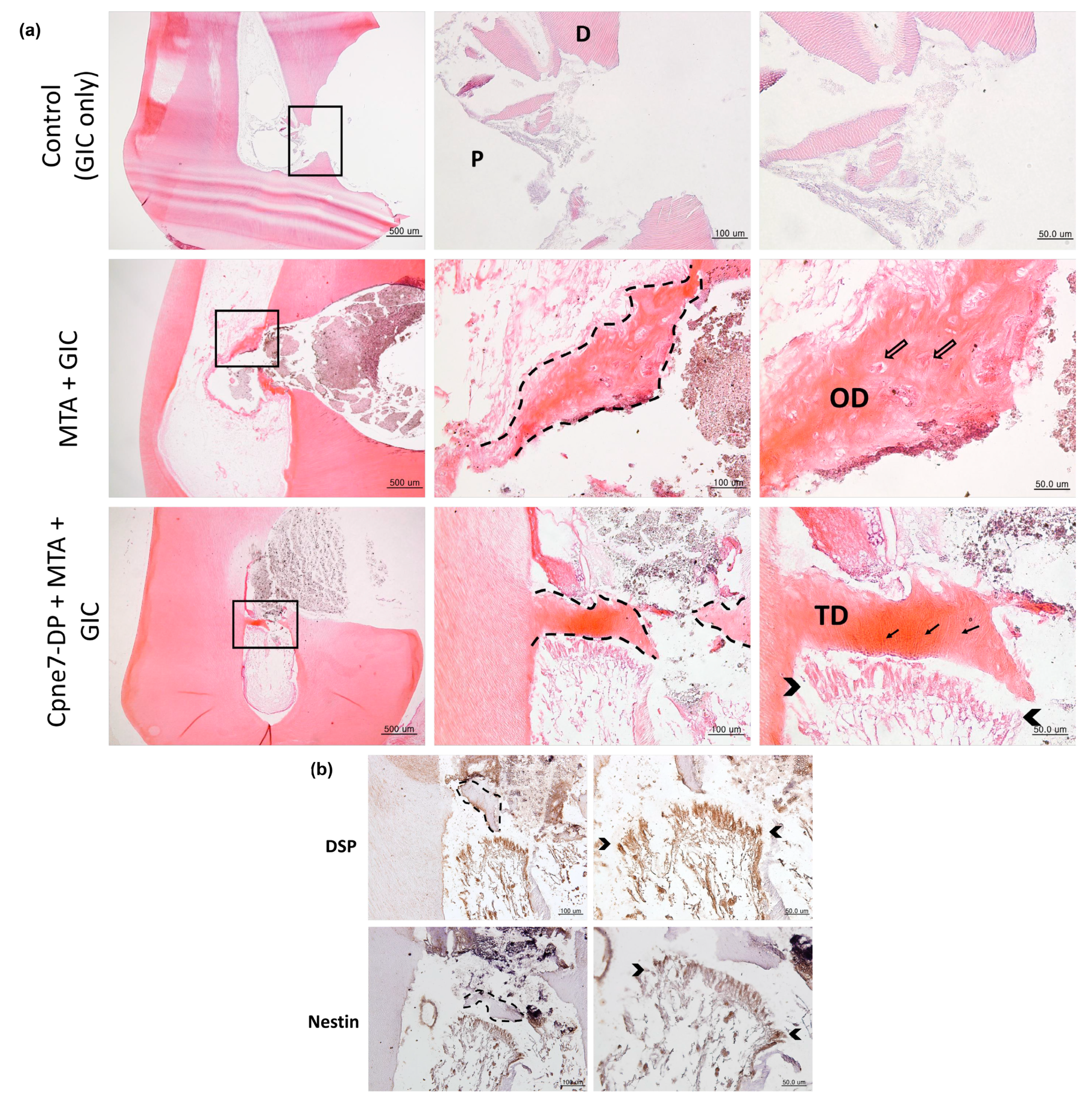 Materials 13 04618 g005