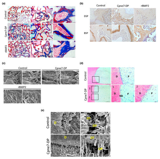 Materials 13 04618 g0a3