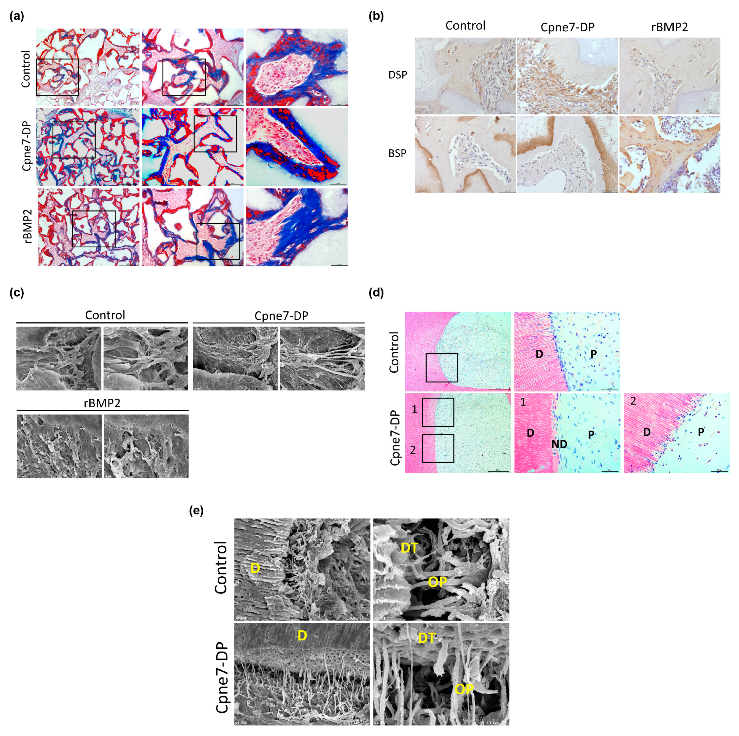 Materials 13 04618 g0a3