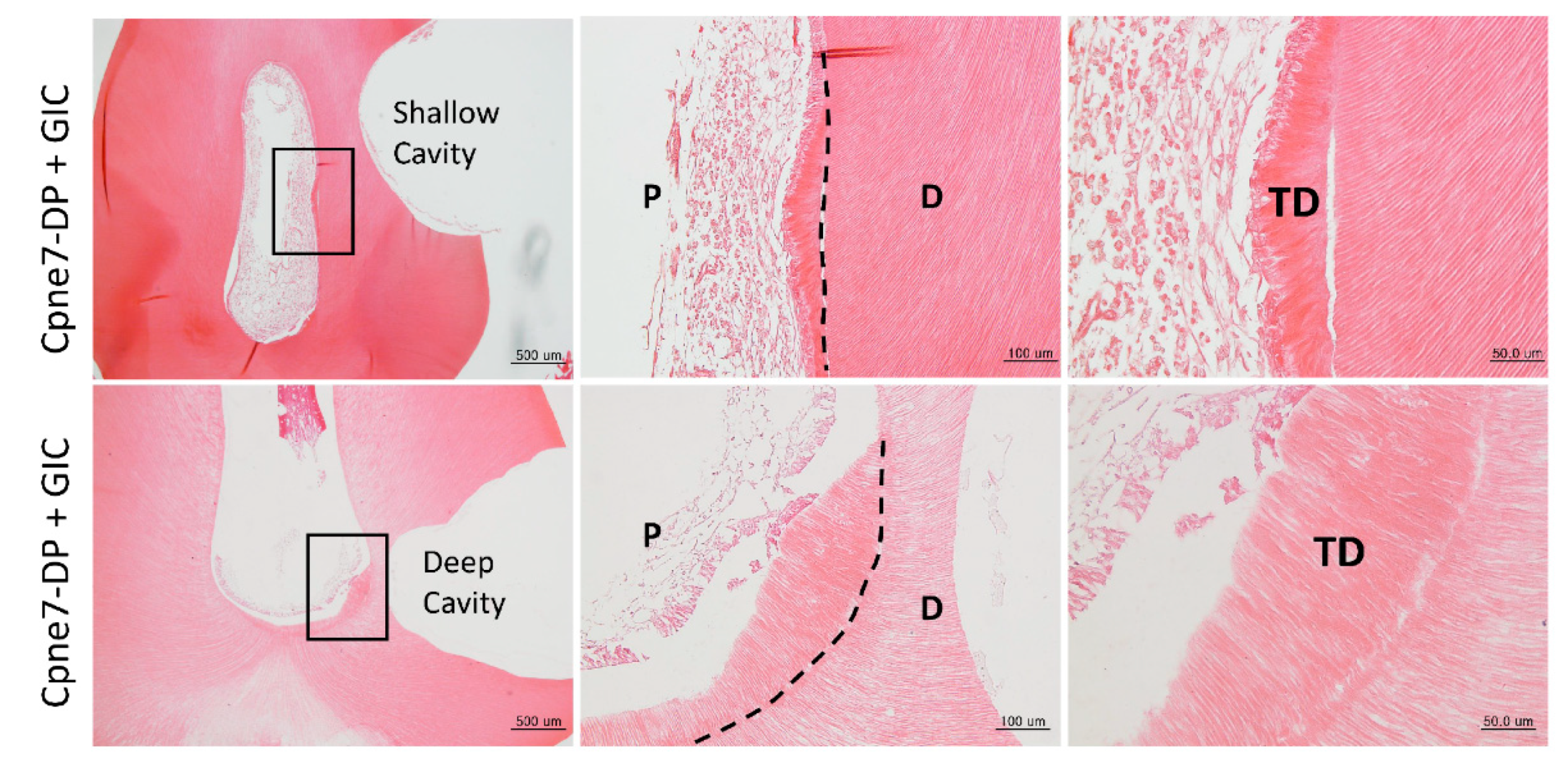 Materials 13 04618 g0a4