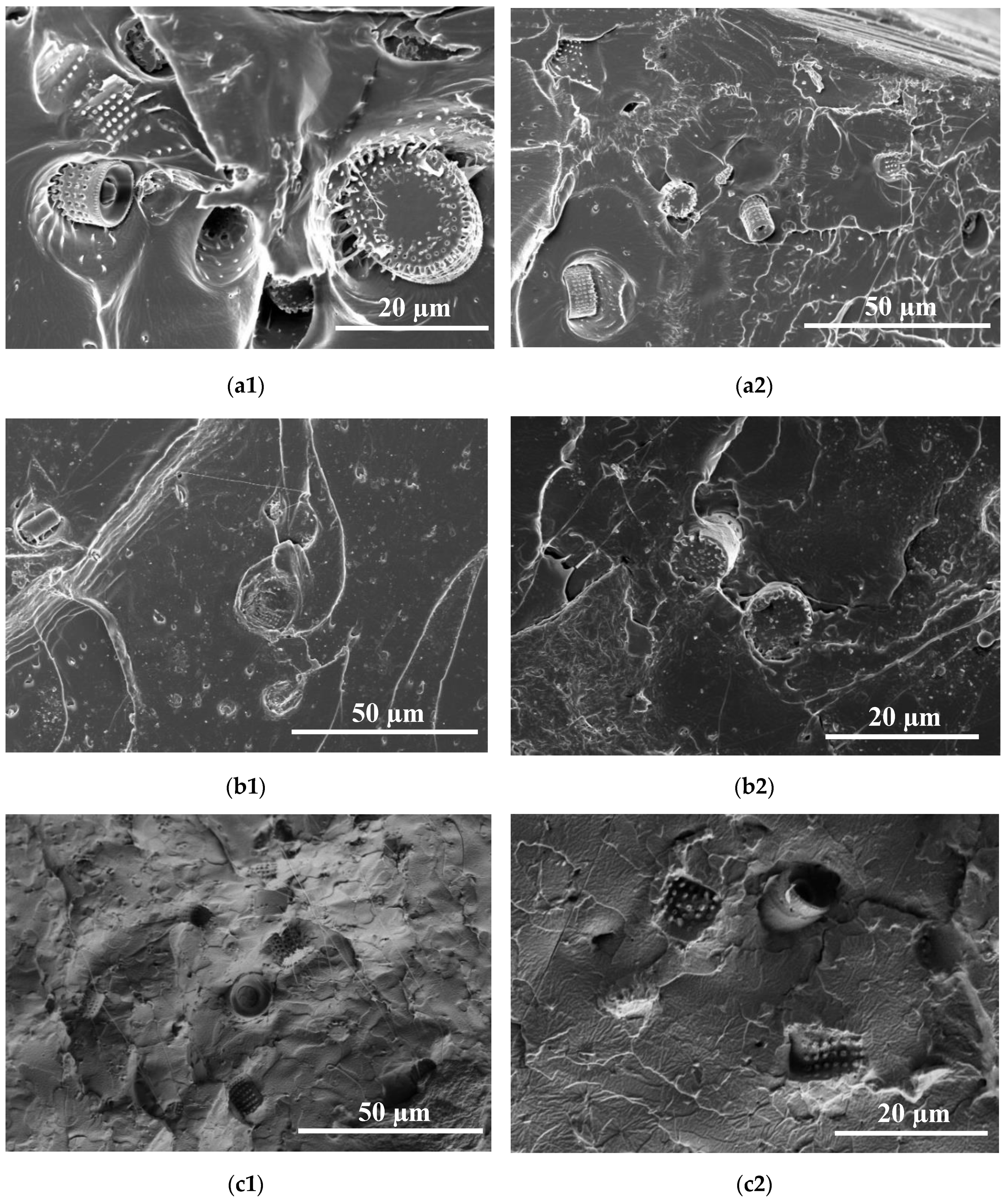 Materials 13 04632 g004a