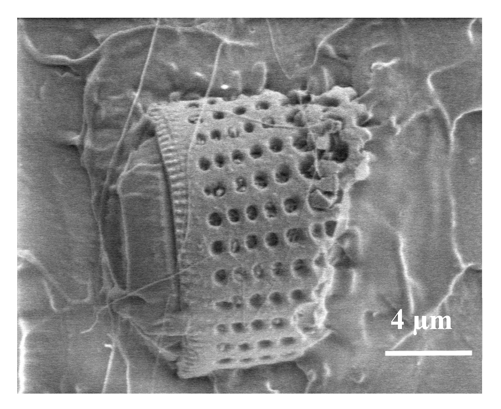 Materials 13 04632 g005