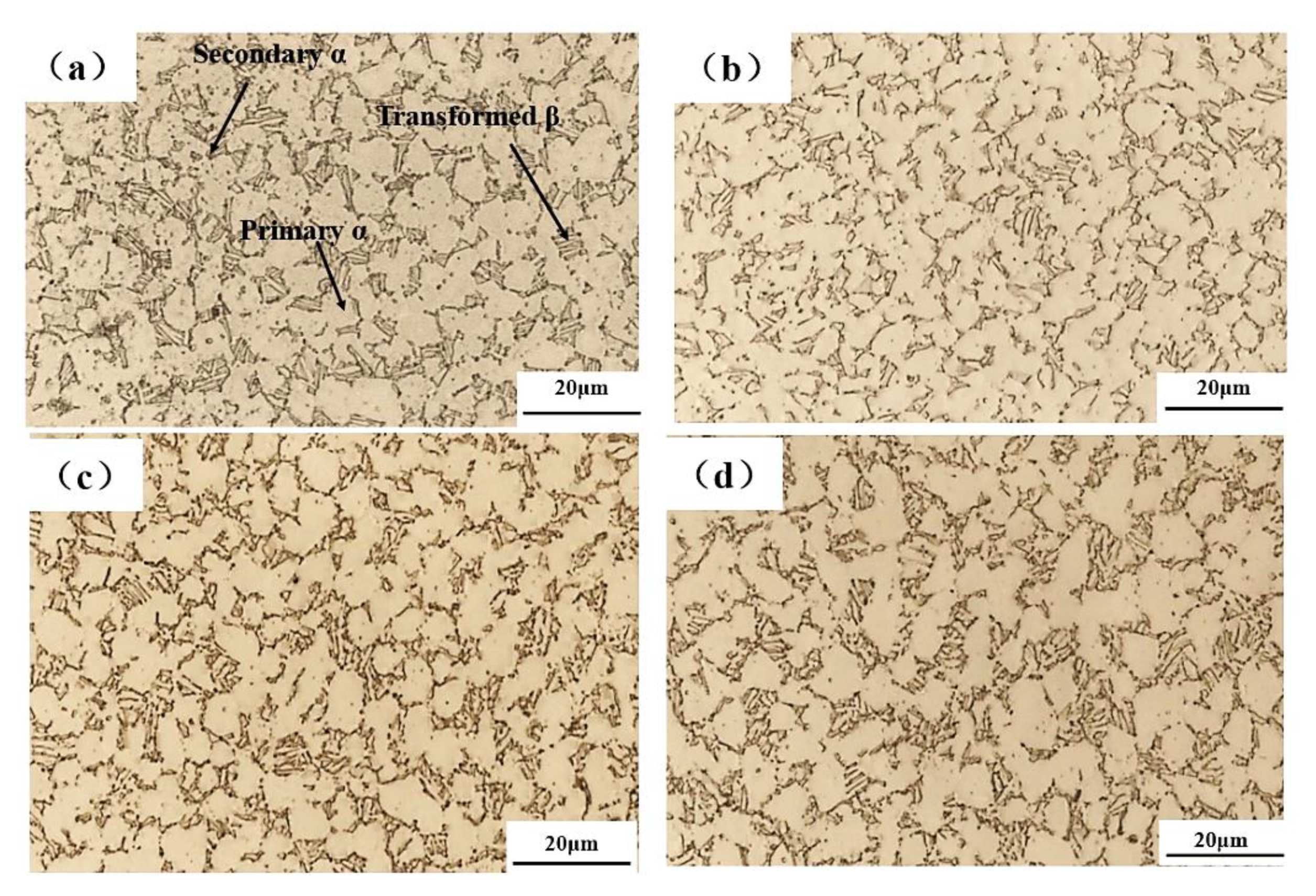 Materials 13 04636 g017