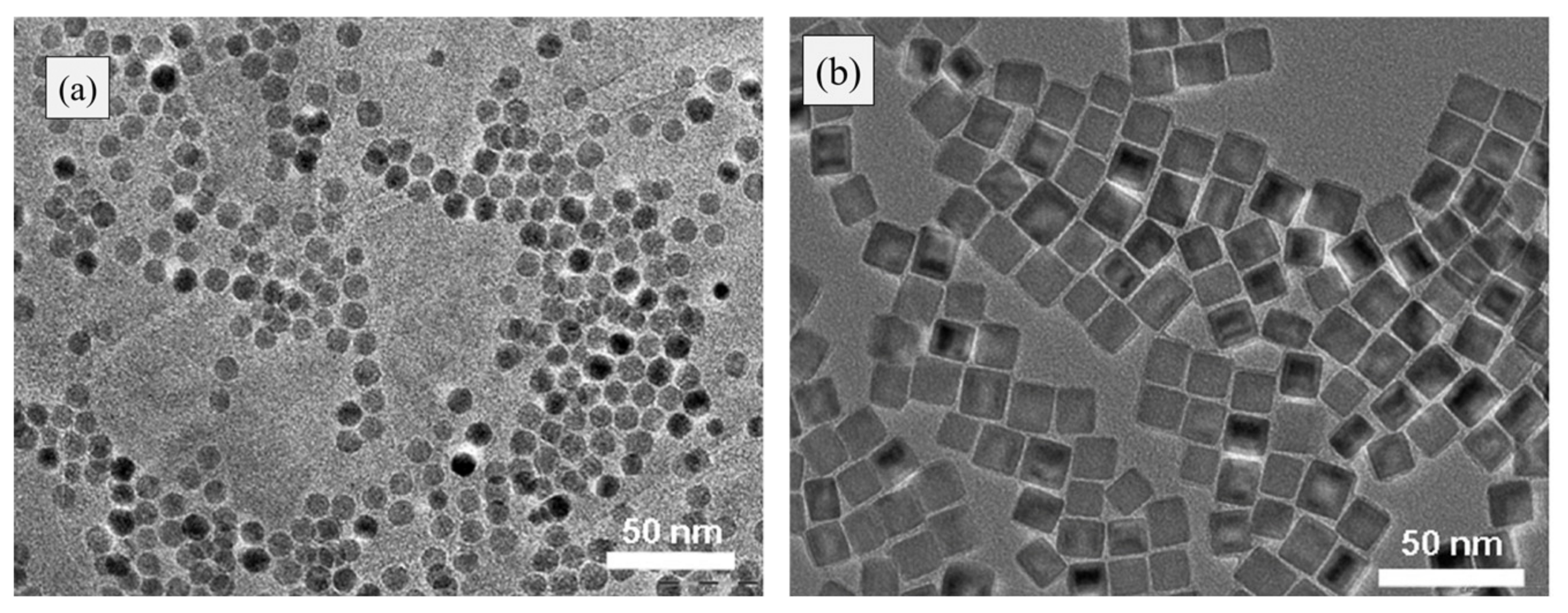 Materials 13 04644 g004 Materials 13 04644 g004