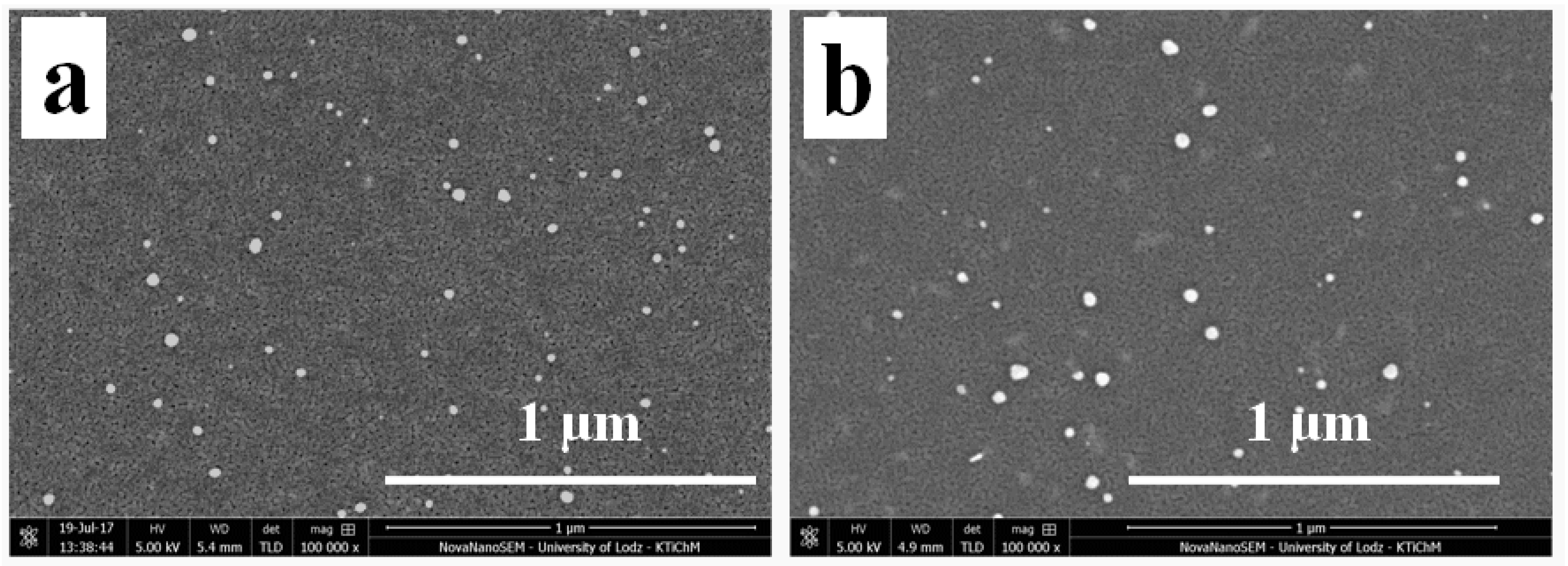 Materials 13 04653 g006