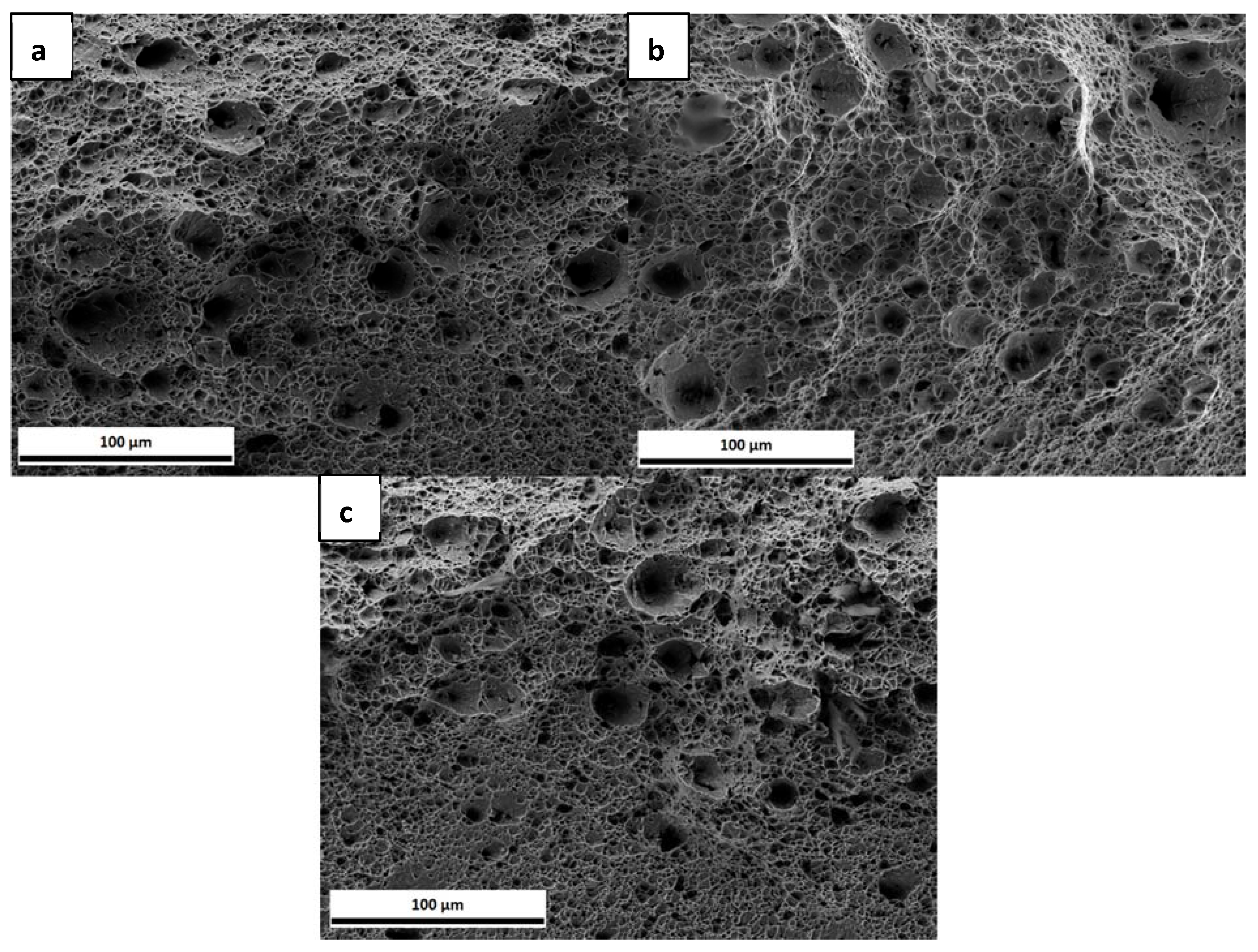 Materials 13 04677 g004