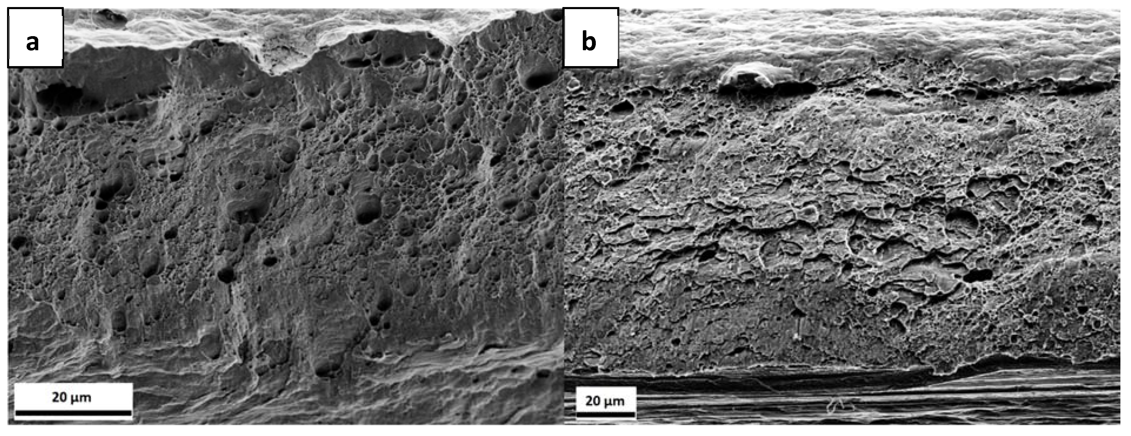 Materials 13 04677 g013