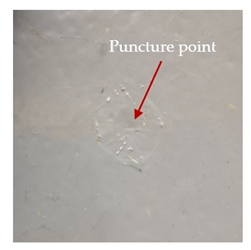 Materials 13 04686 i007