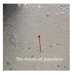 Materials 13 04686 i008