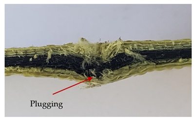 Materials 13 04686 i014