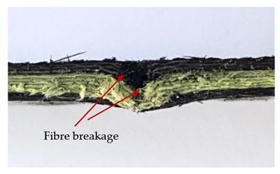 Materials 13 04686 i023