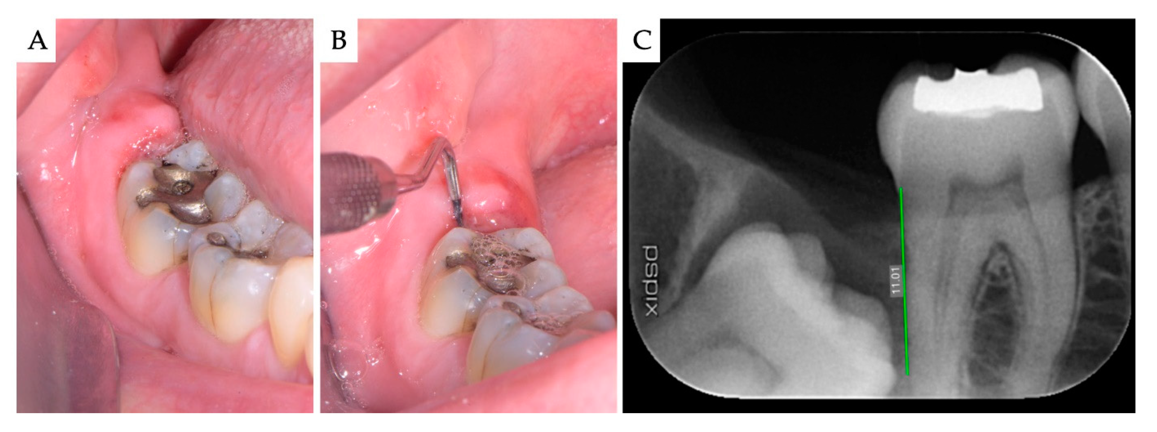Materials 13 04688 g001