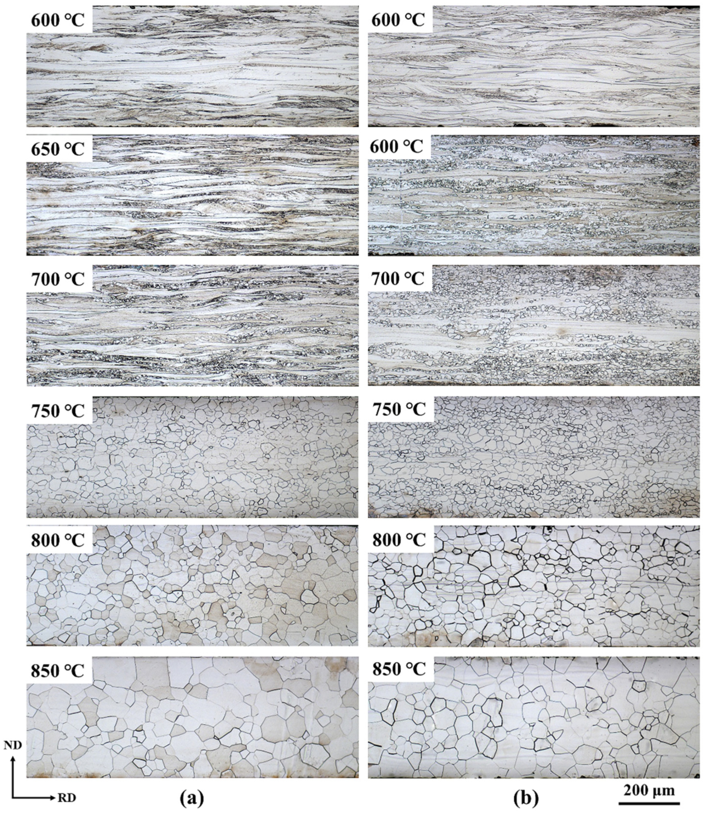 Materials 13 04696 g003