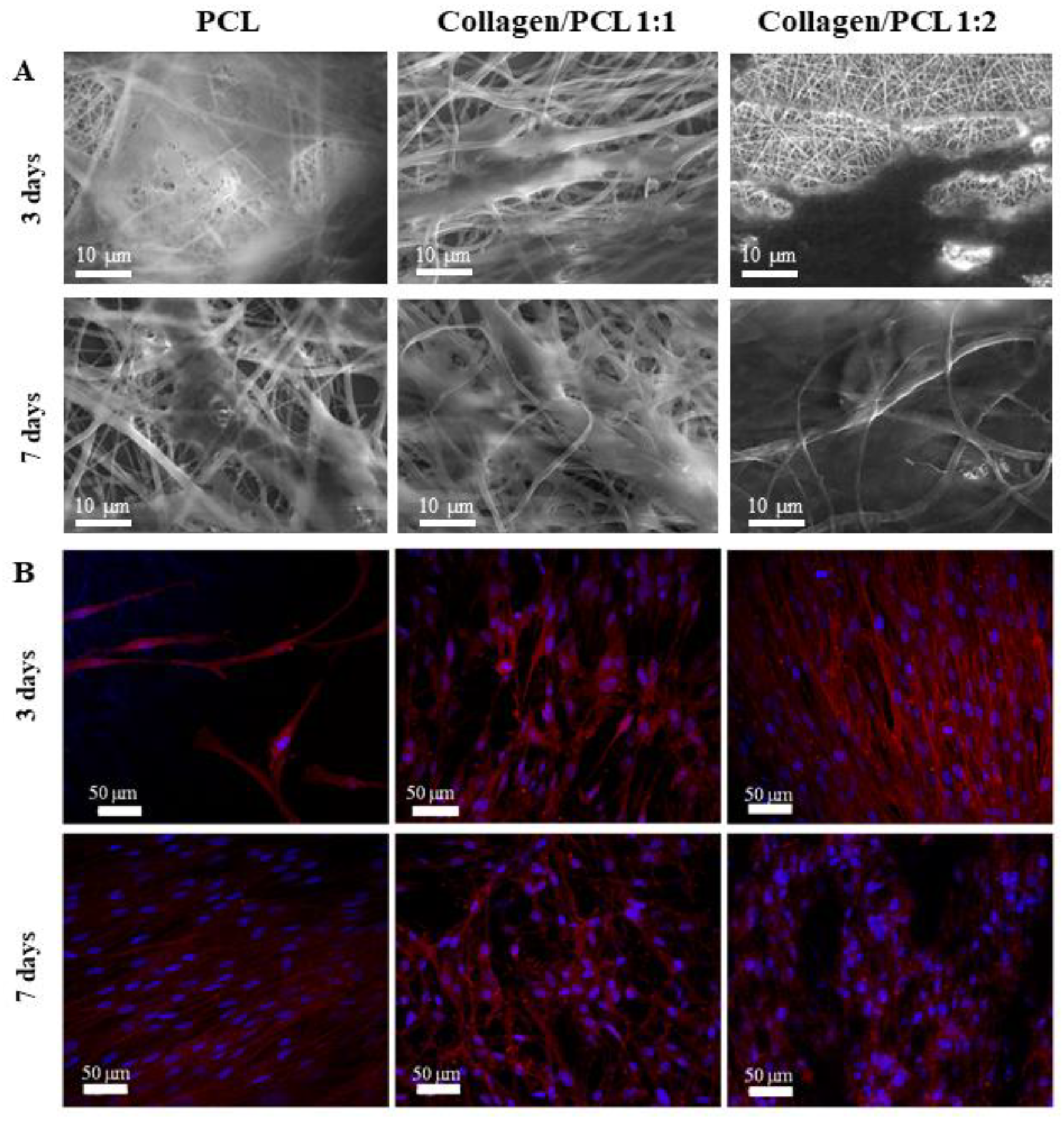 Materials 13 04698 g012