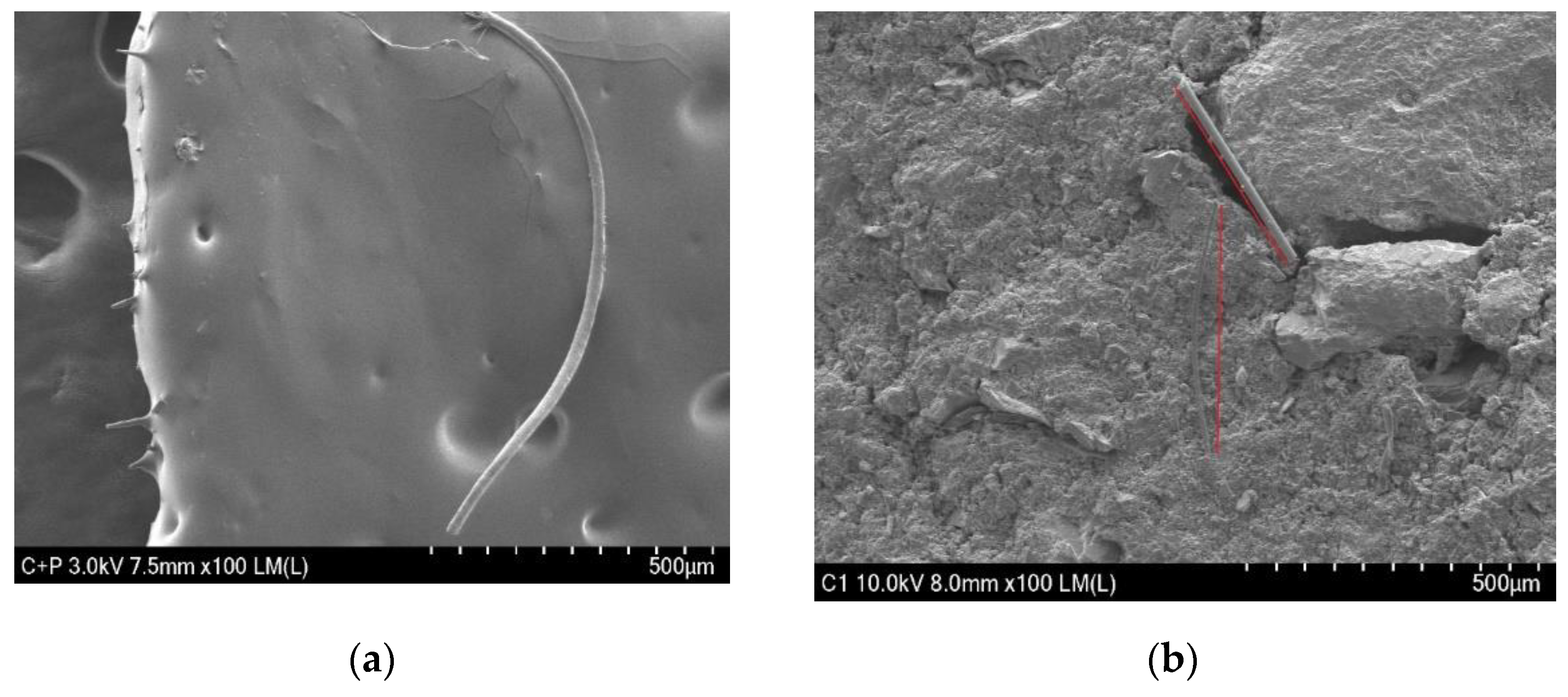 Materials 13 04699 g012