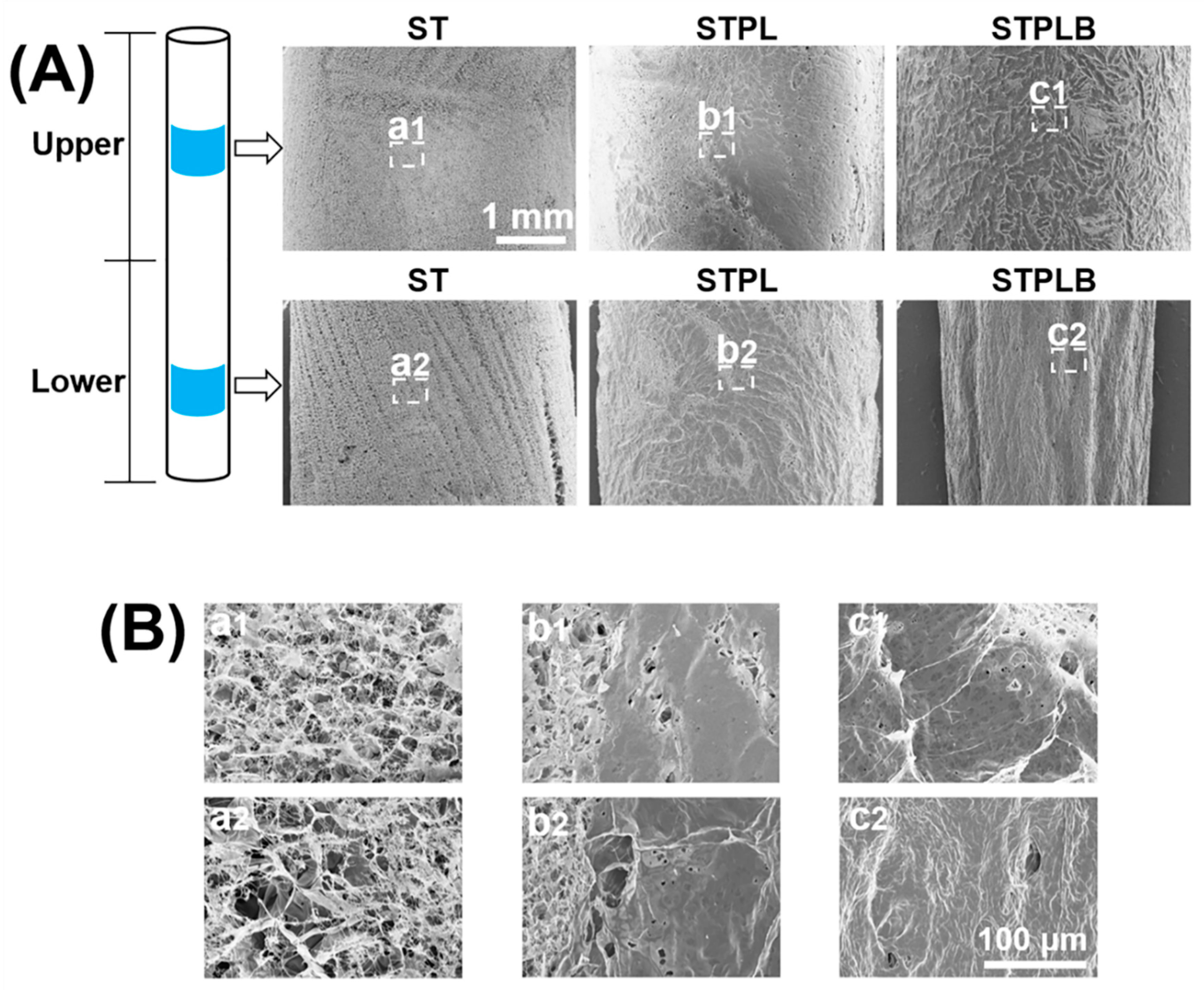 Materials 13 04705 g004