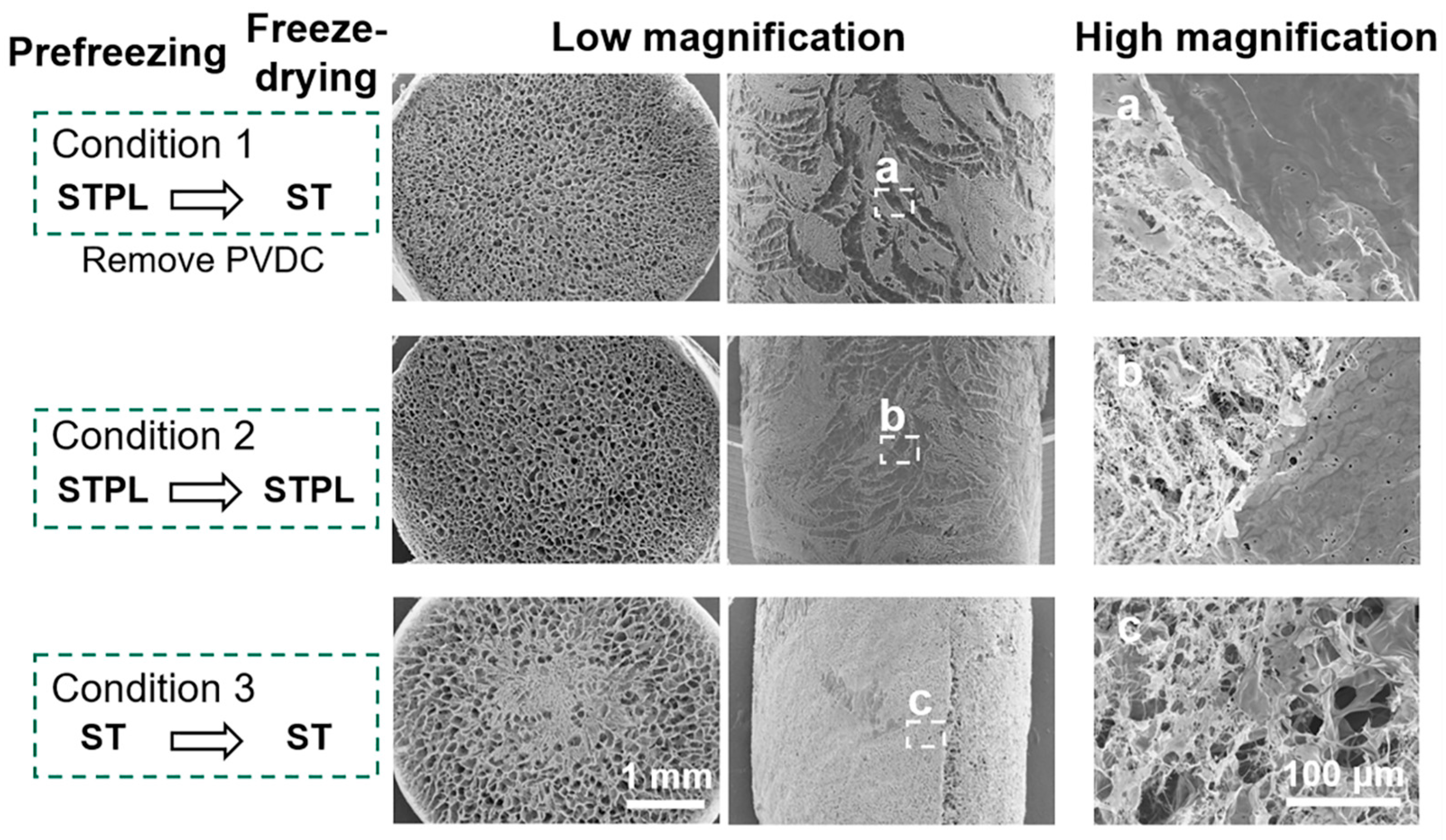 Materials 13 04705 g005