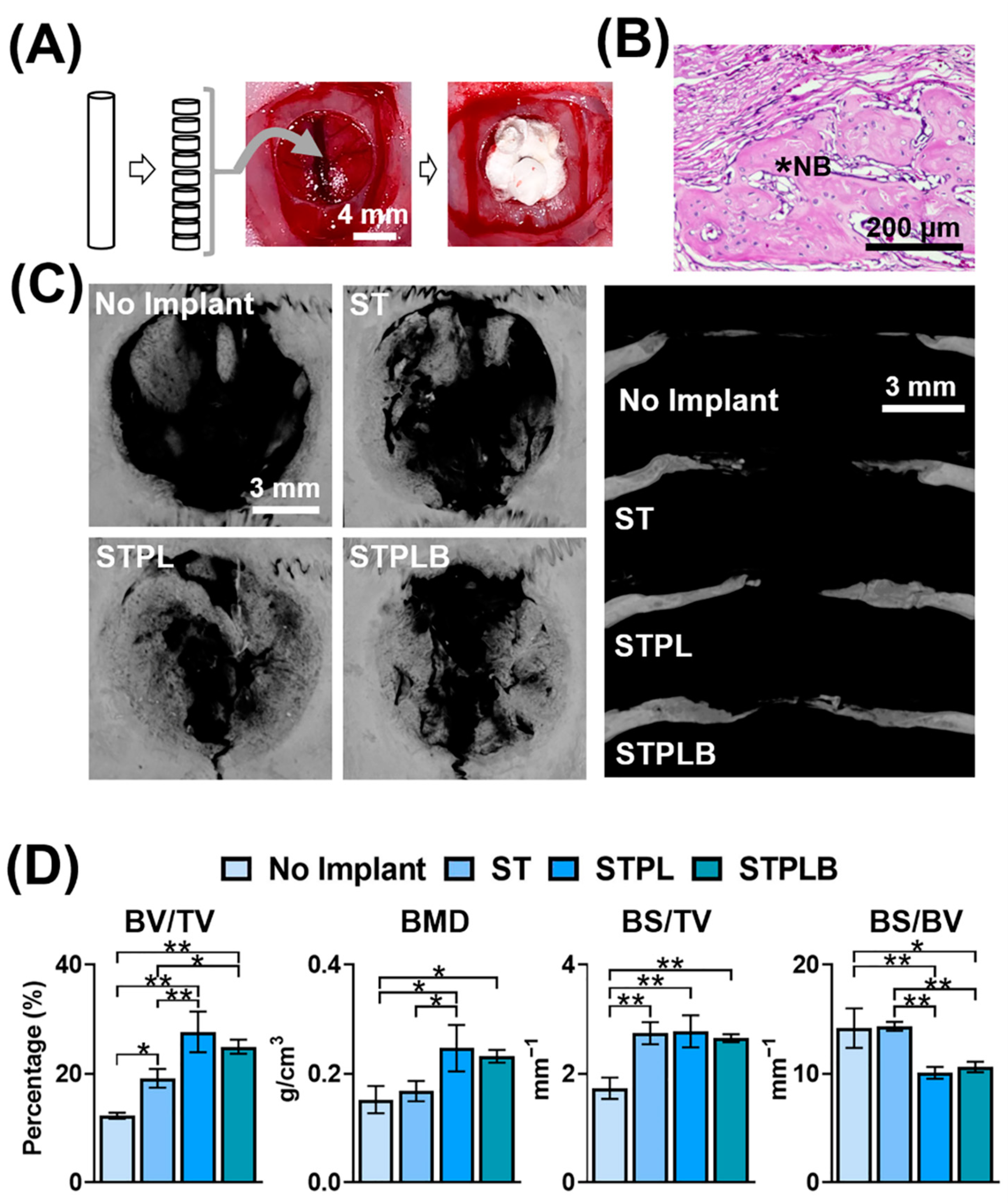 Materials 13 04705 g008