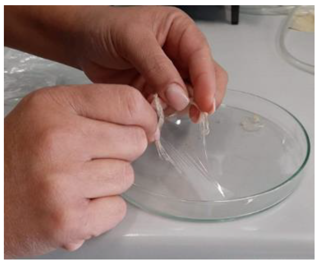 Materials 13 04710 g012