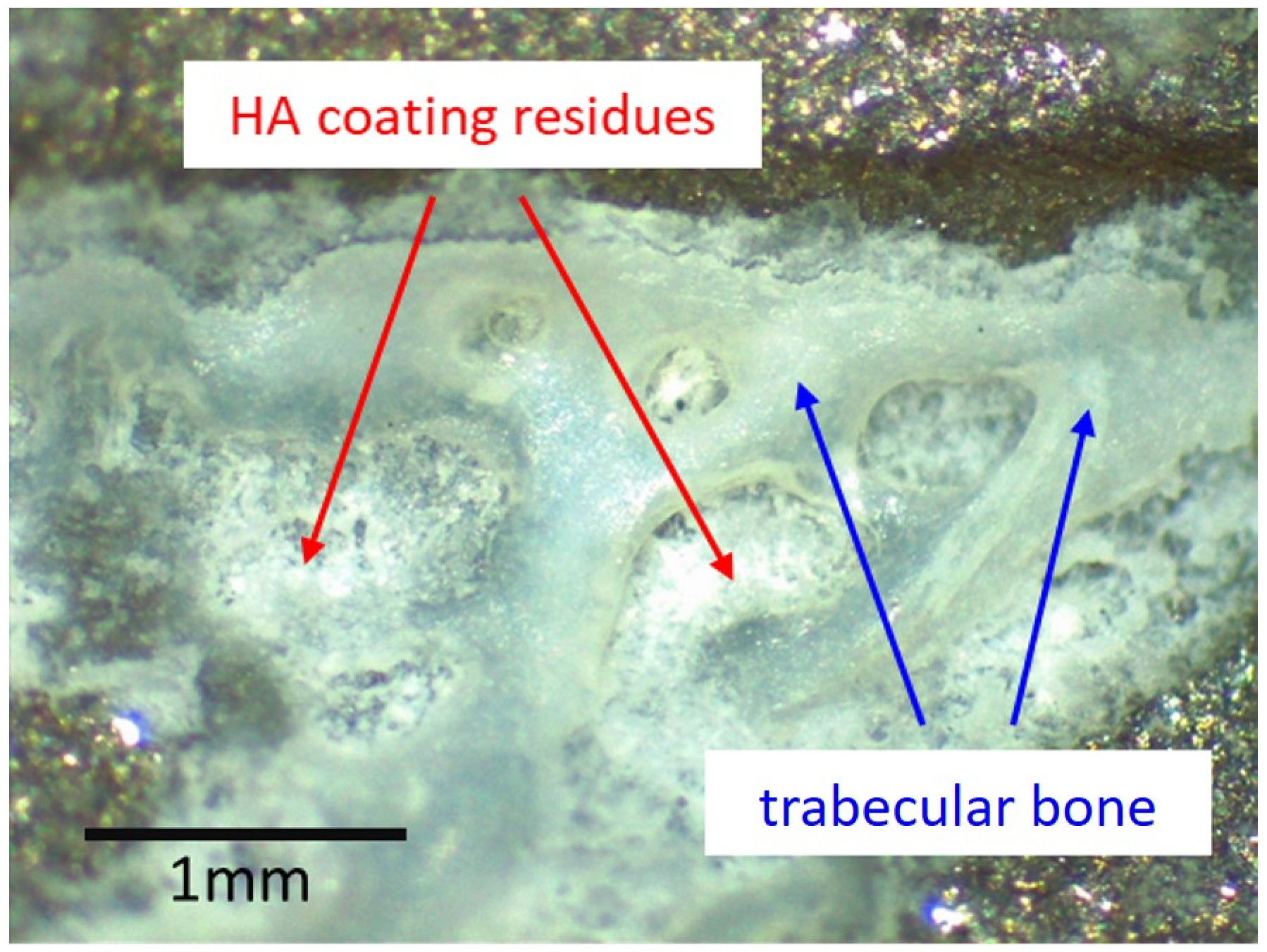 Materials 13 04713 g003