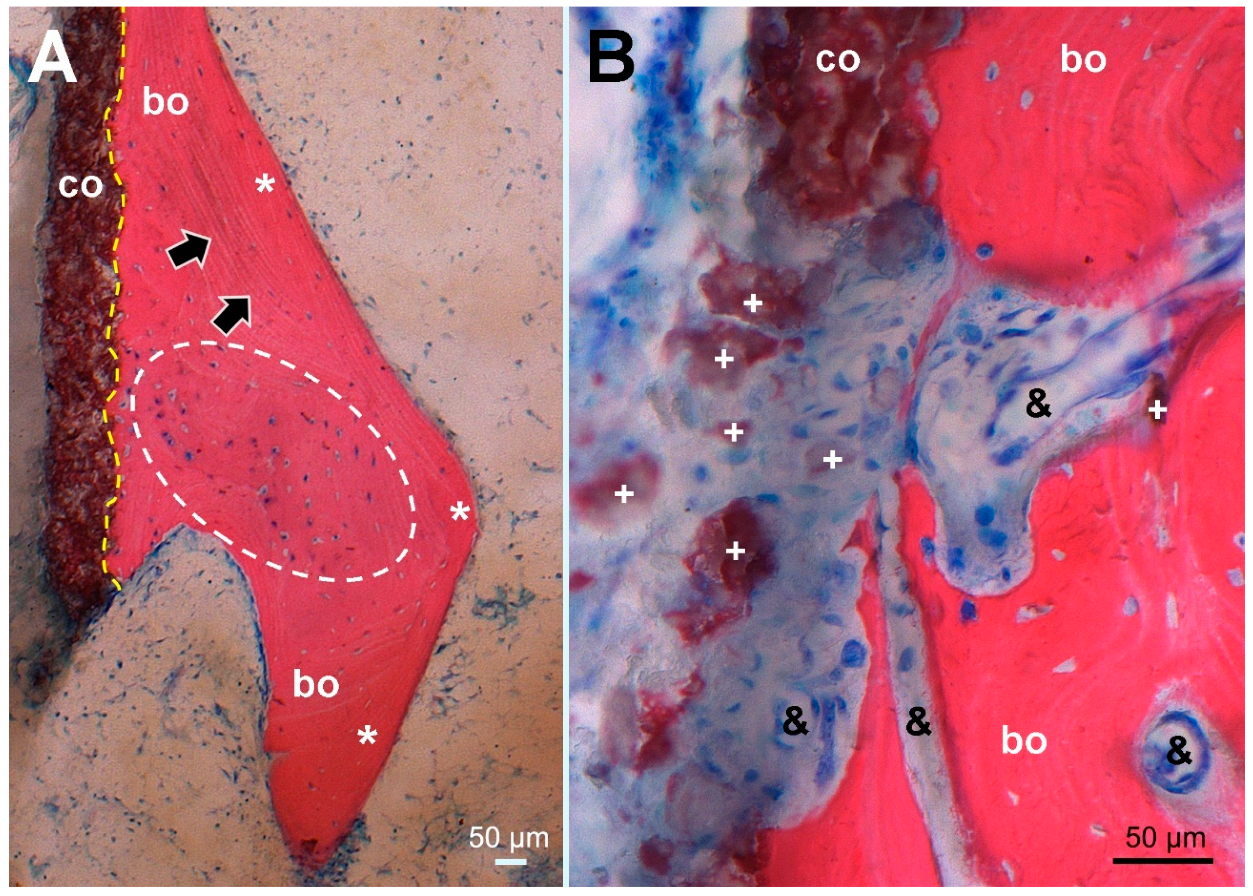 Materials 13 04713 g005