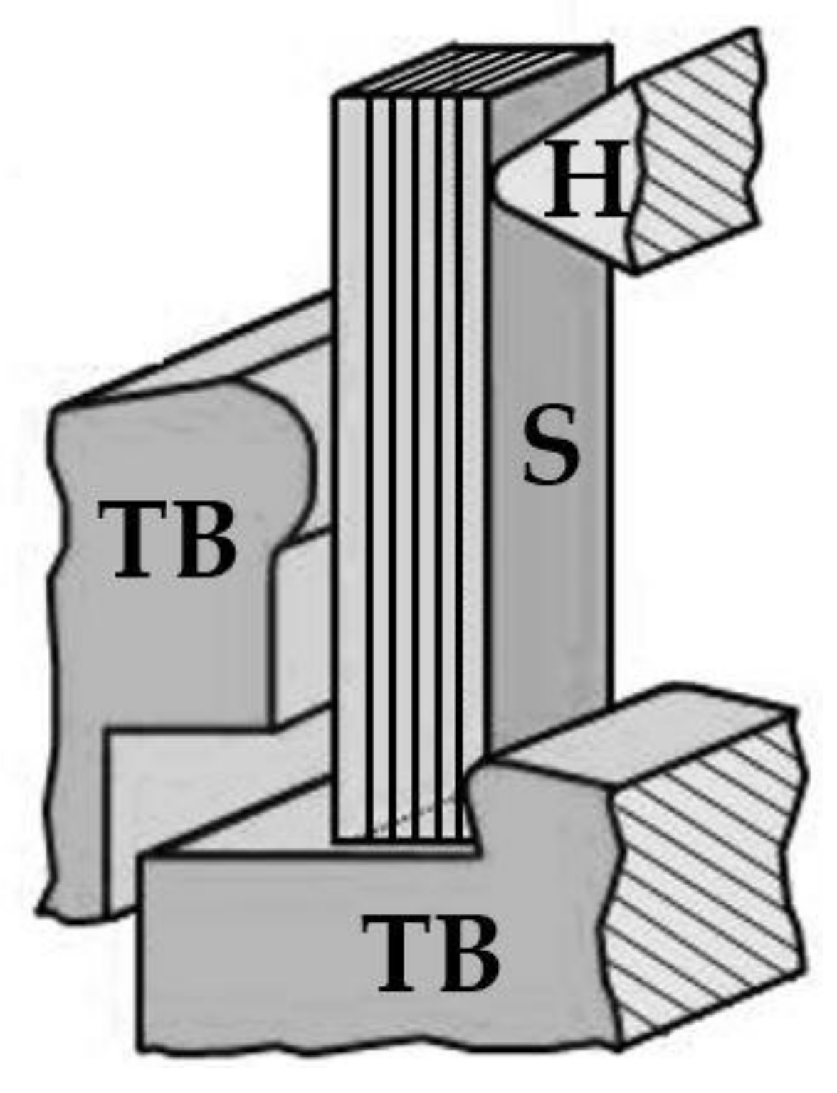 Materials 13 04714 g003